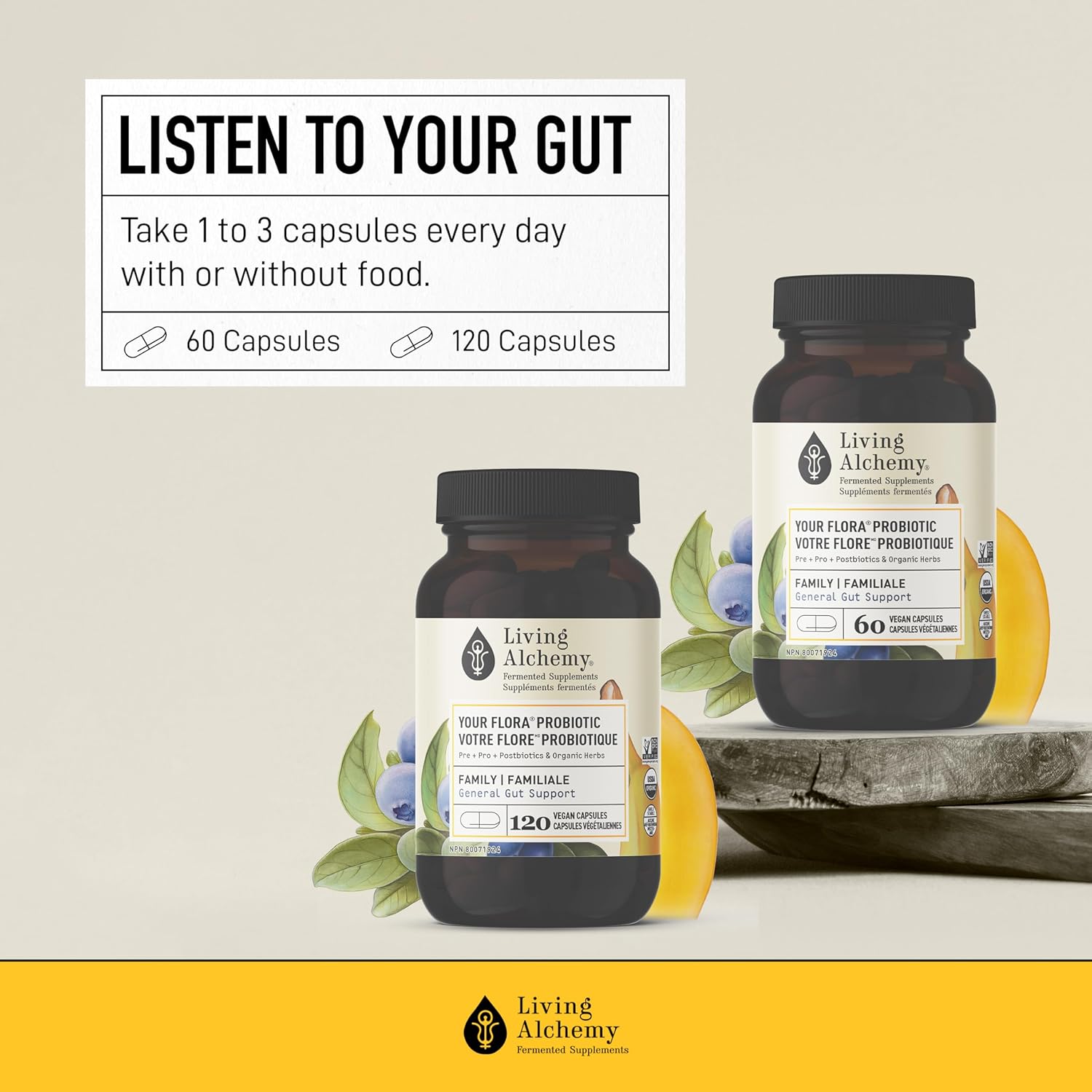 Your Flora Probiotic Family : General Support | Living Alchemy® | 60 Capsules