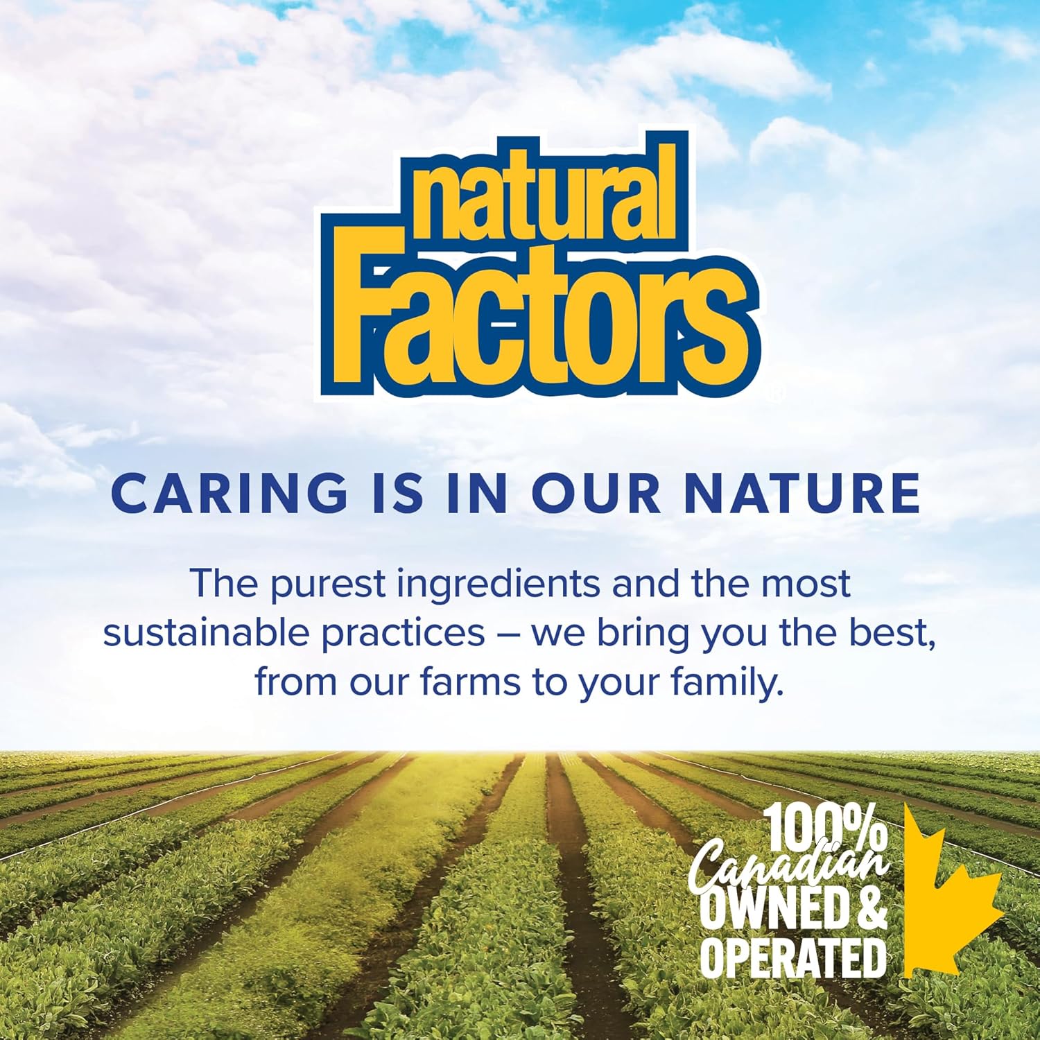 SunVitamin D3 Liquid Softgel 1000 IU | Natural Factors® | 180, 360 , 500 Softgel