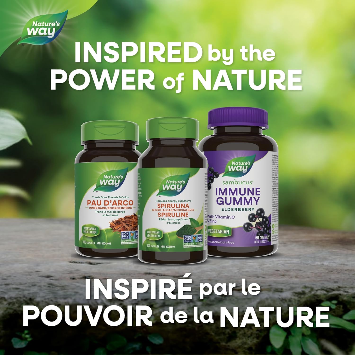 Spirulina | Nature's Way® | 100 Capsules