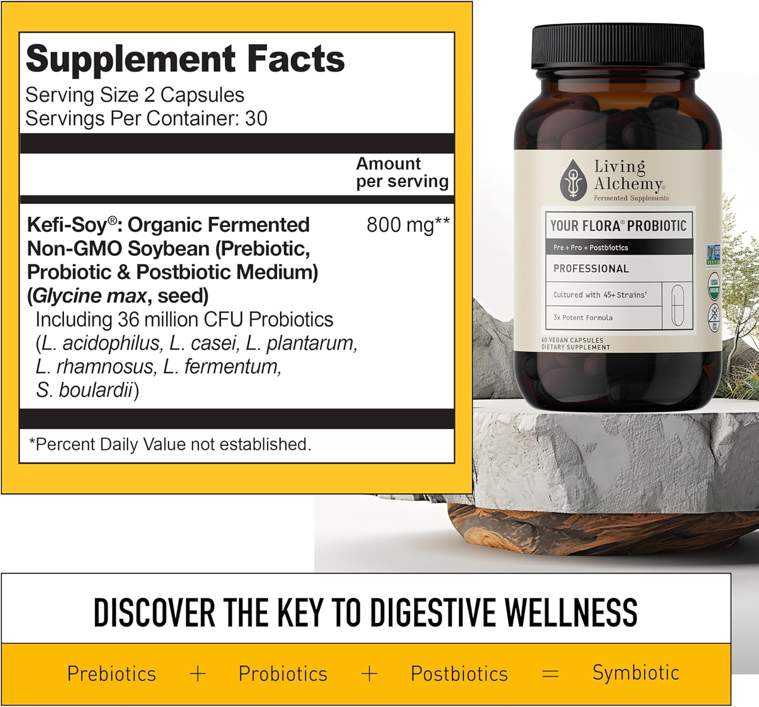 Your Flora Probiotics Man | Living Alchemy® | 60 Vegan Capsules