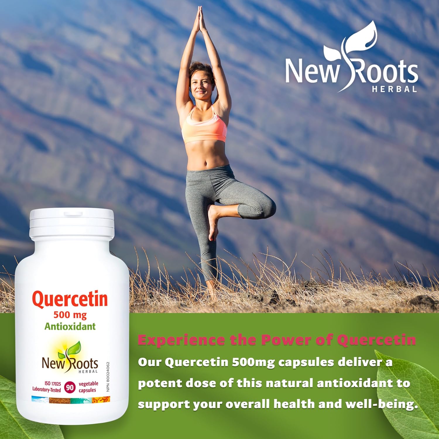 Quercetin | New Roots HERBAL® | 90 Veg Capsules
