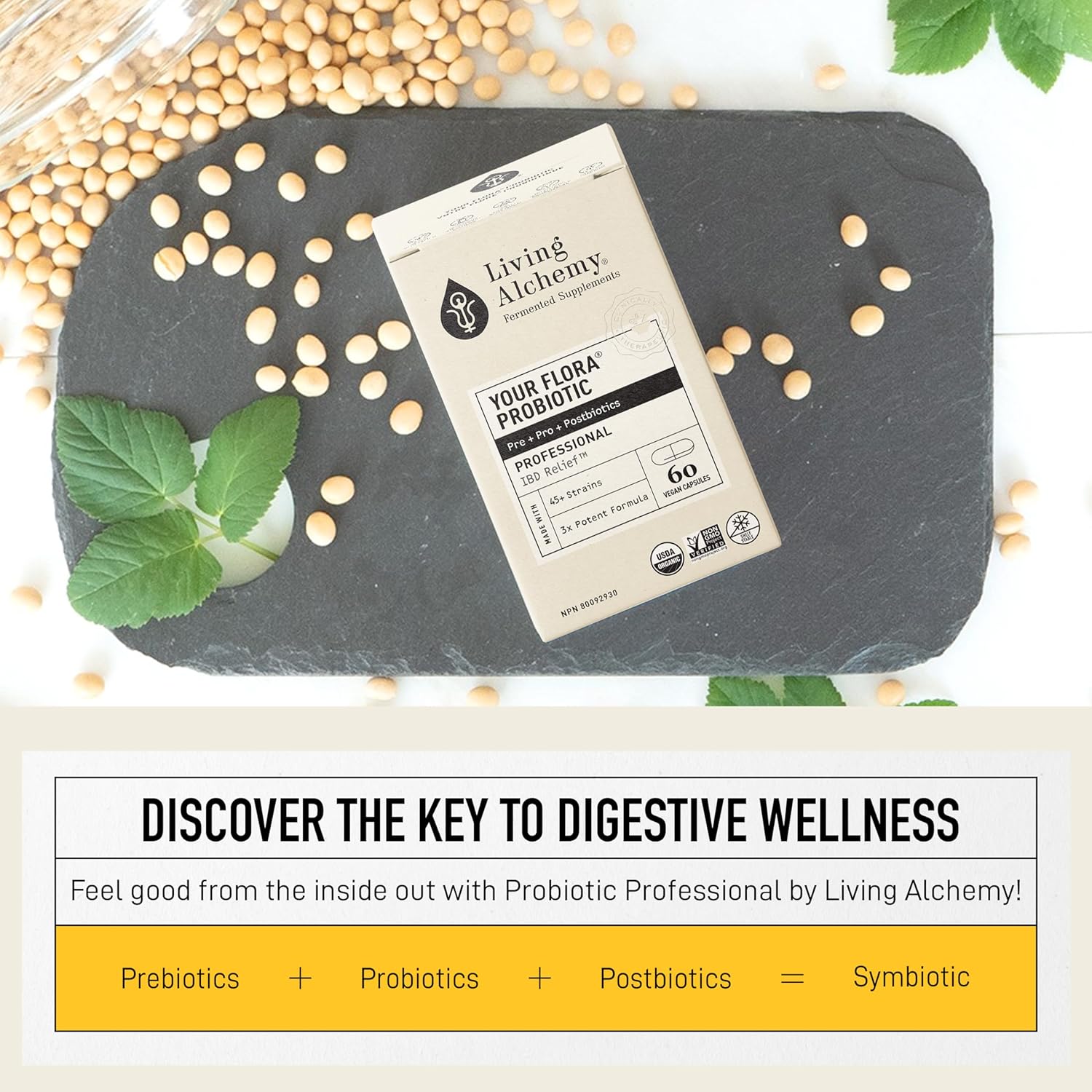 Your Flora Probiotics Man by Living Alchemy® – Gut, Prostate & Urinary Support | 60 Vegan Capsules