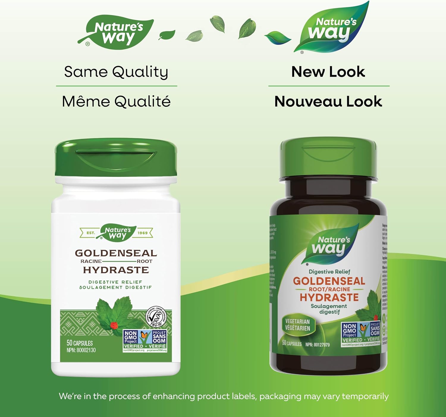 Goldenseal Root | Nature's Way® | 50 or 100 Capsules