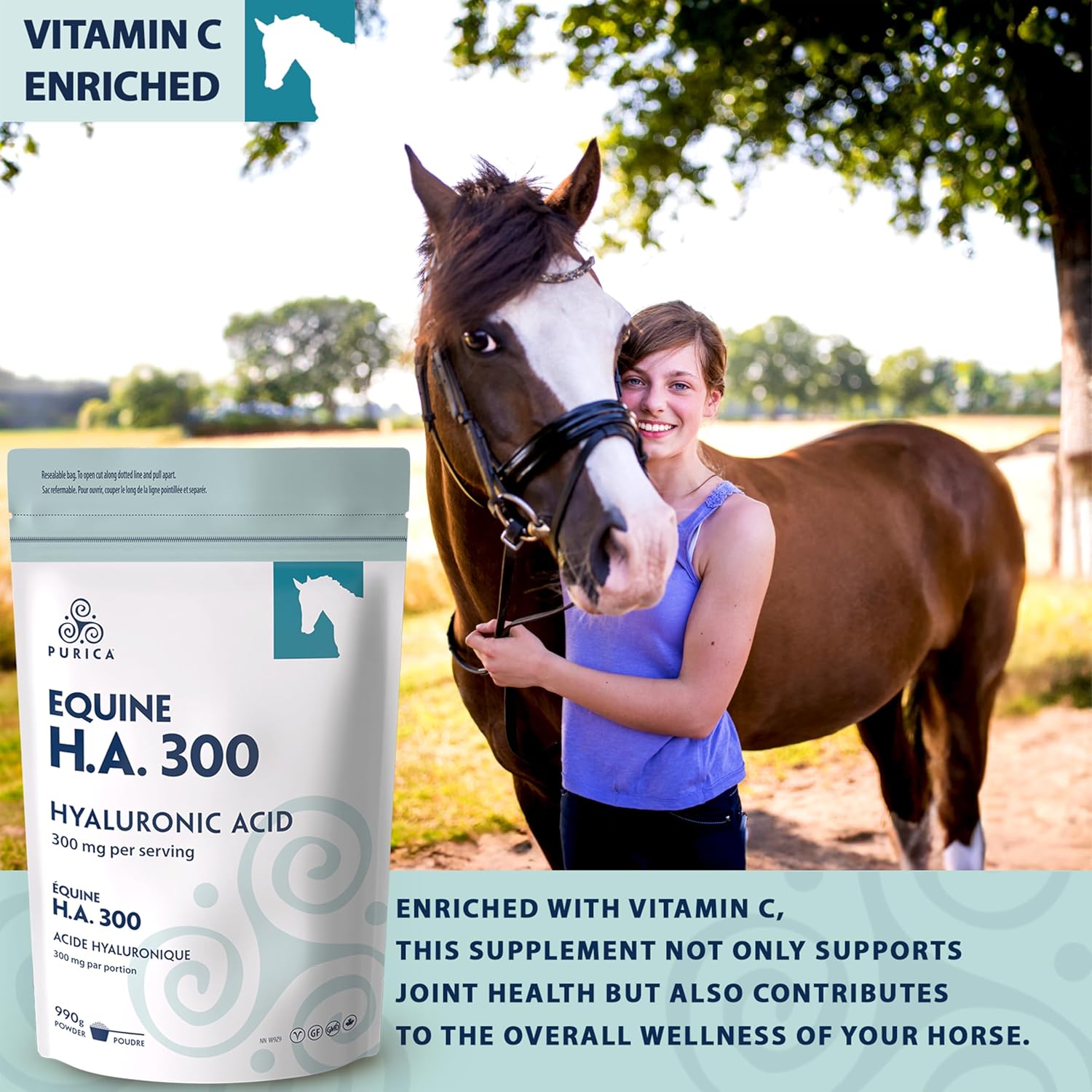 Equine HA 300 | Purica® | Powder