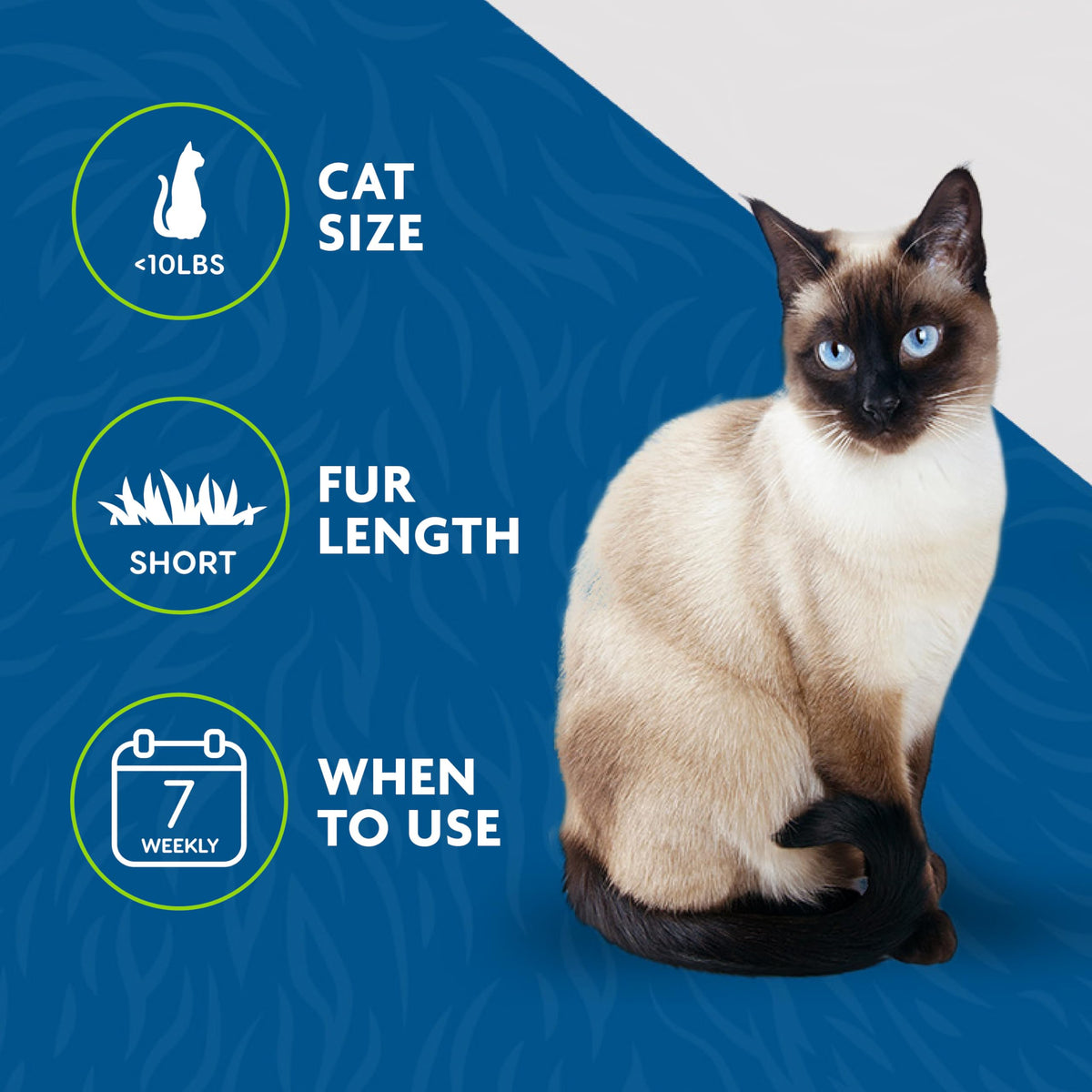 FURminator Short Hair deShedding Tool For Cats (Small) š All In One Marketplace Canada