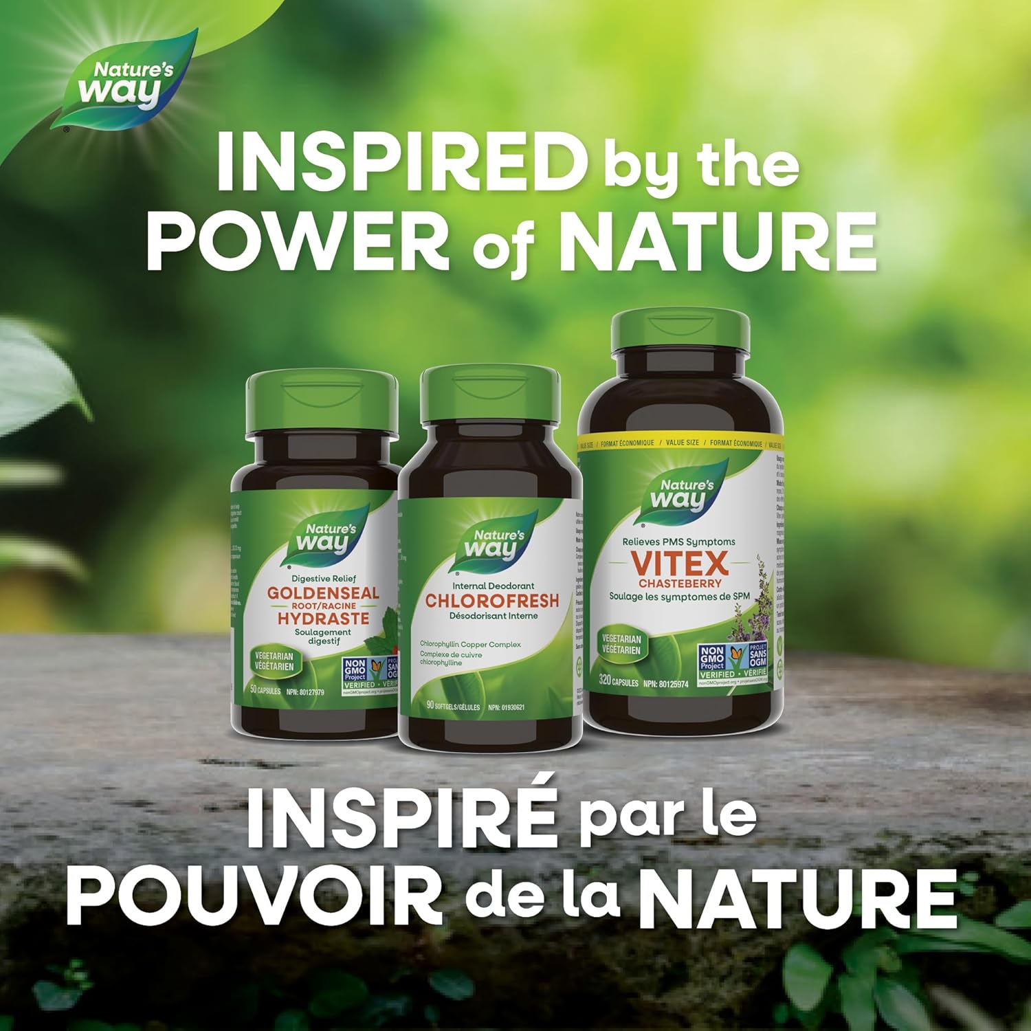 Chlorofresh® | Nature's Way® | 90 softgels