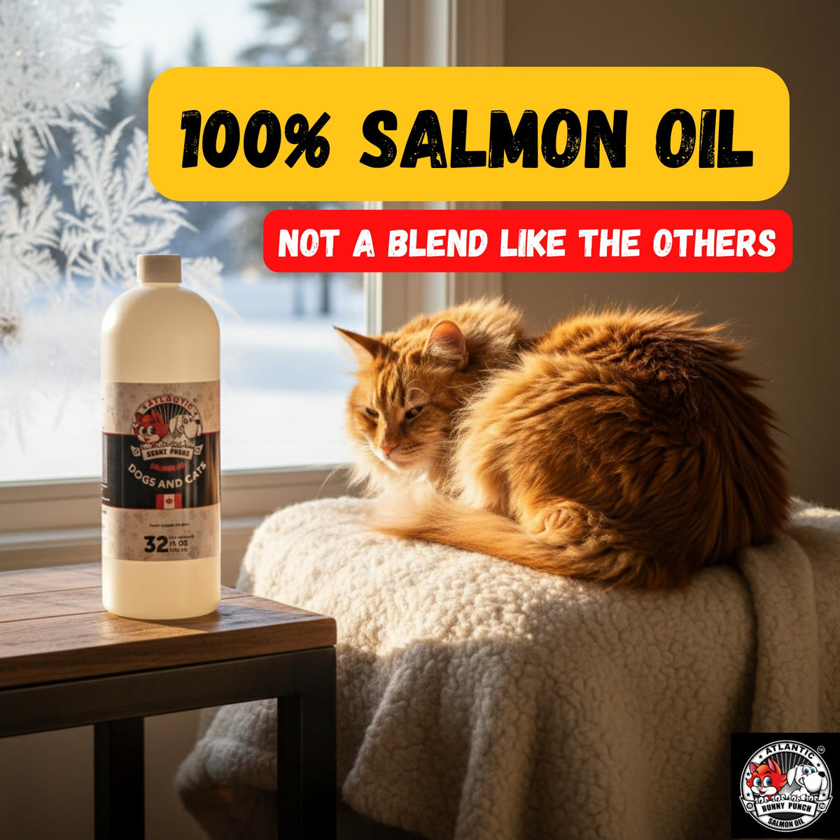 Bunny Punch Pure Atlantic Salmon Oil for Dogs & Cats - Liquid Food Topper - 32 oz đ All In One Marketplace Canada