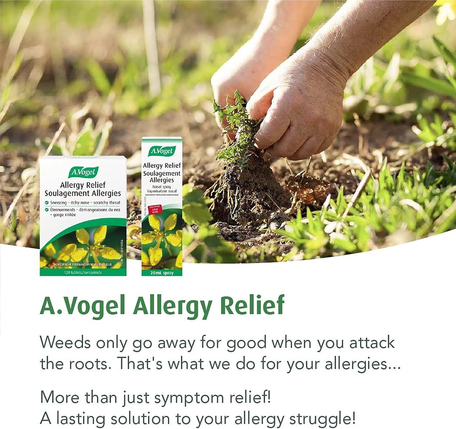 Allergy Relief | A.Vogel | 120 Tabs