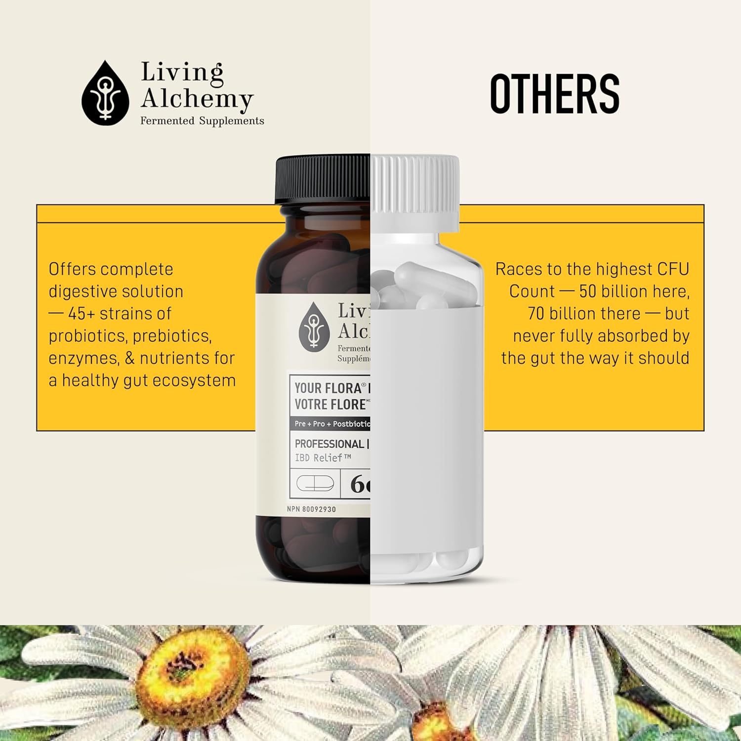 Your Flora Probiotics Man by Living Alchemy® – Gut, Prostate & Urinary Support | 60 Vegan Capsules