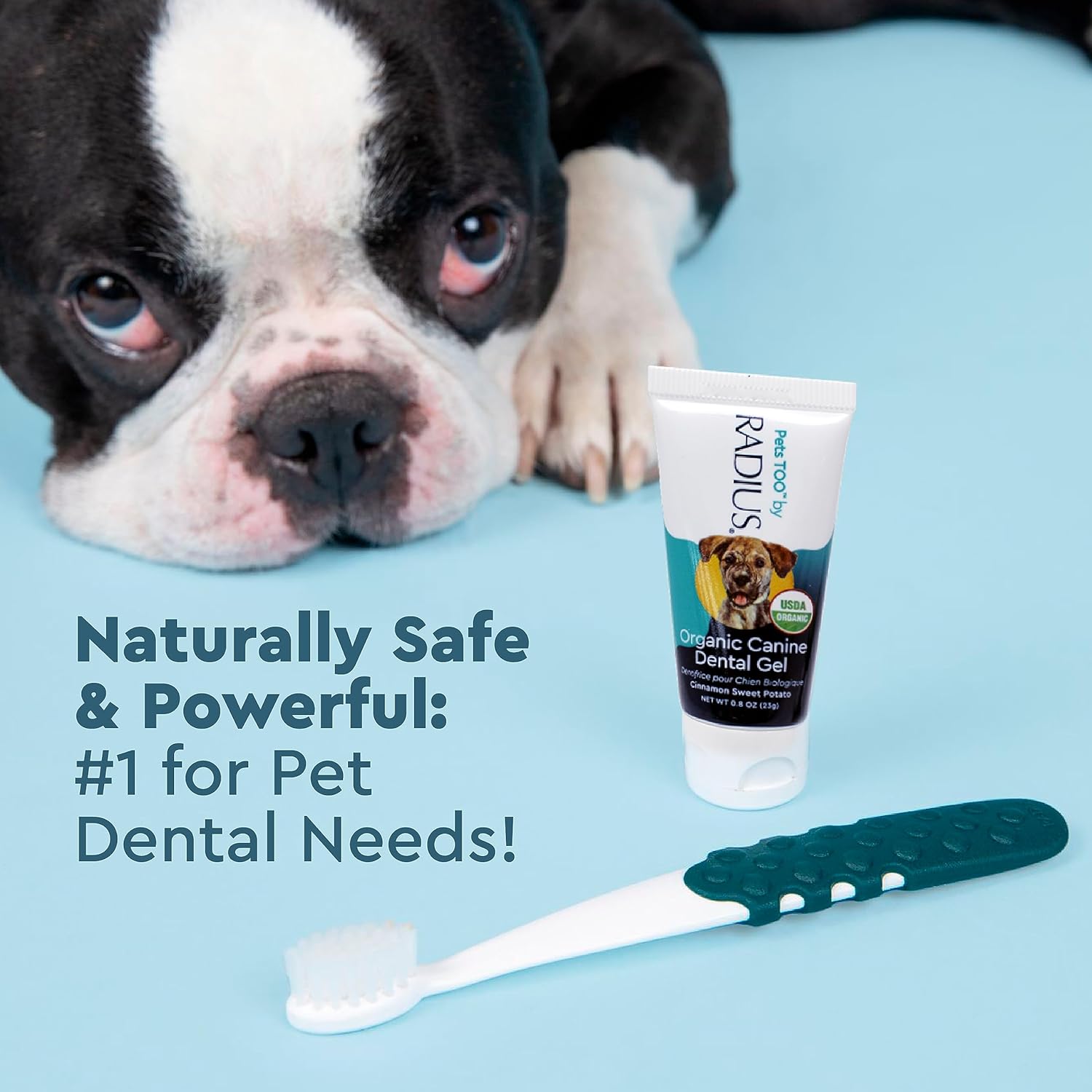 Organic Canine Dental Kit Adult RADIUS CORPORATION 1kit