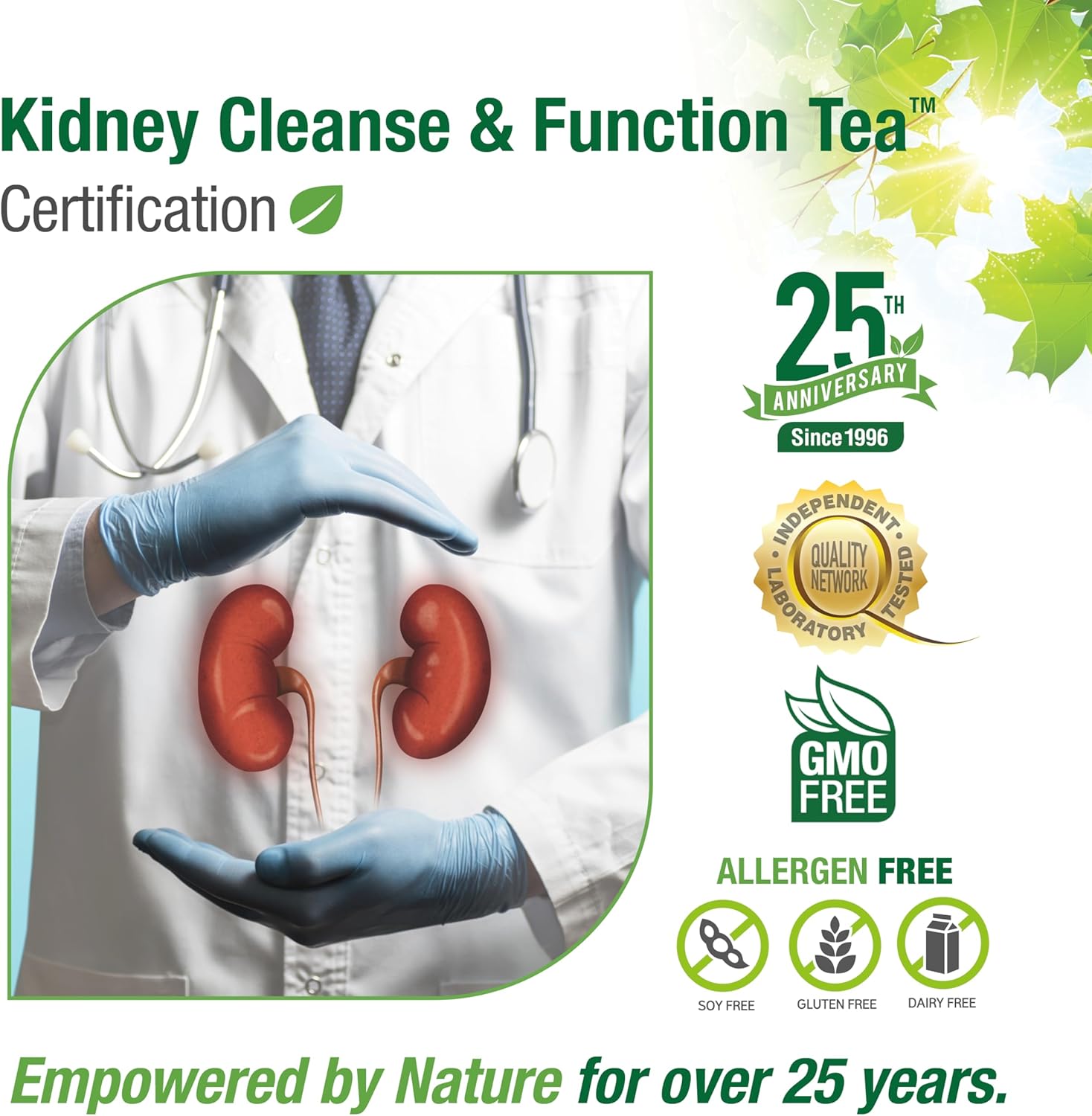 Kidney Cleanse & Function Tea™ | Bell® | 120 gr