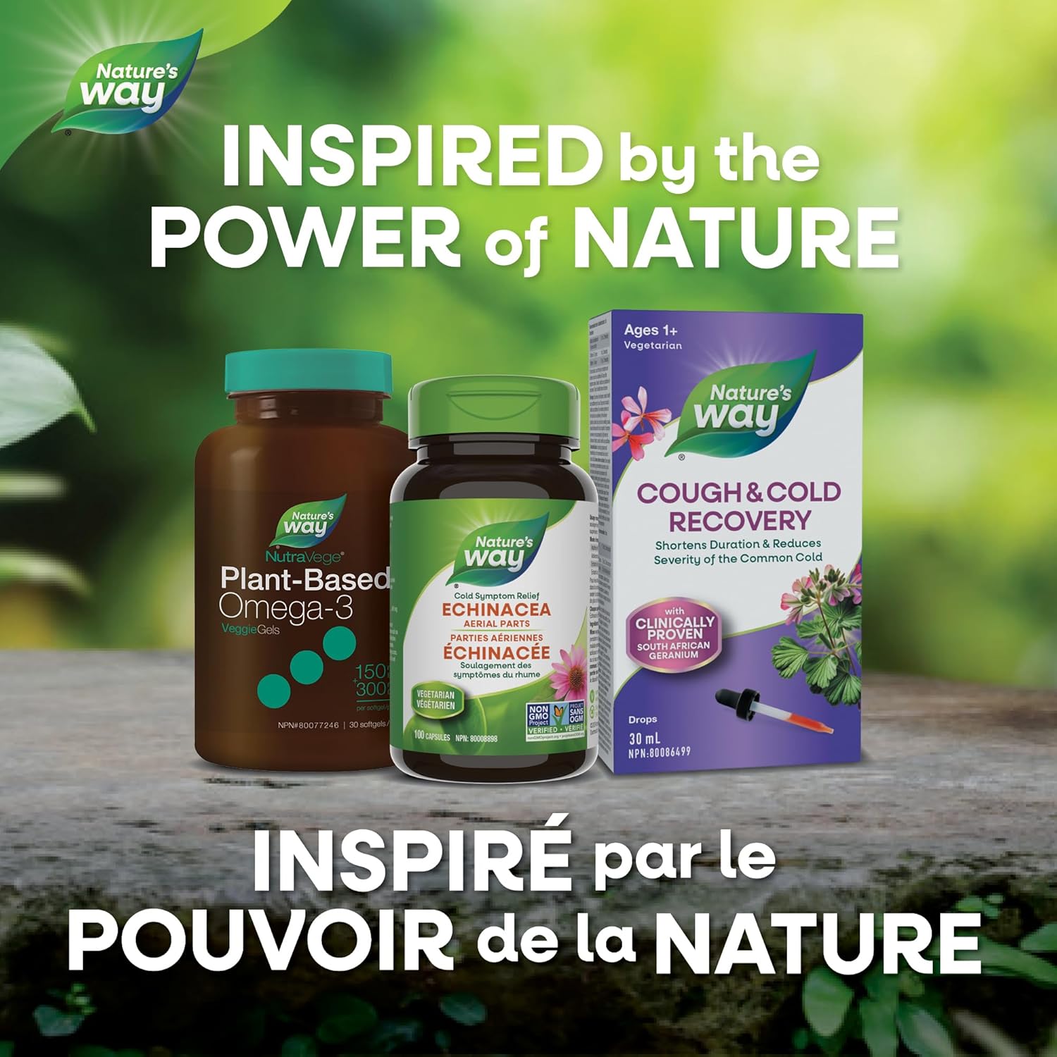 Echinacea Herb | Nature's Way® | 100 OR 180 Capsules