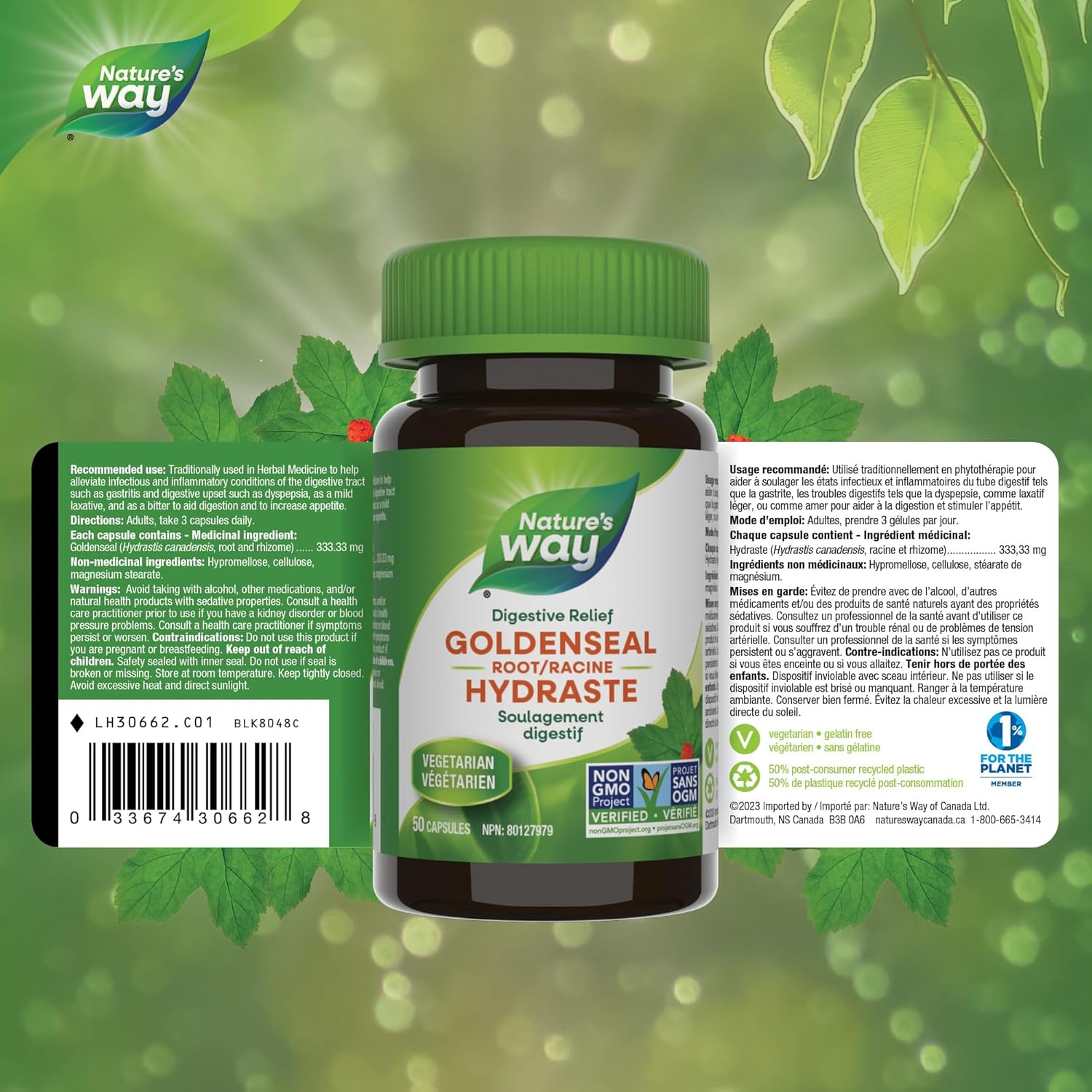 Goldenseal Root | Nature's Way® | 50 or 100 Capsules
