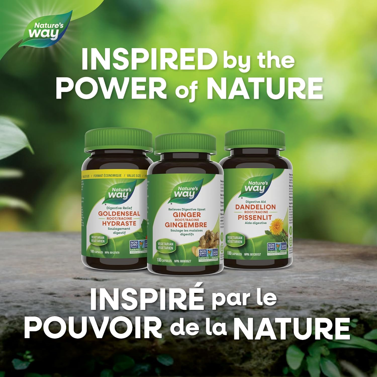 Goldenseal Root | Nature's Way® | 50 or 100 Capsules