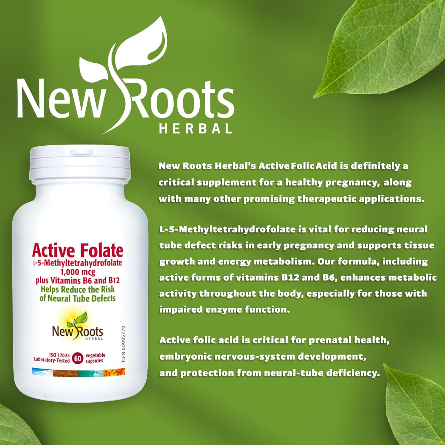 Active Folate | New Roots HERBAL® | 60 Vegetable Capsule