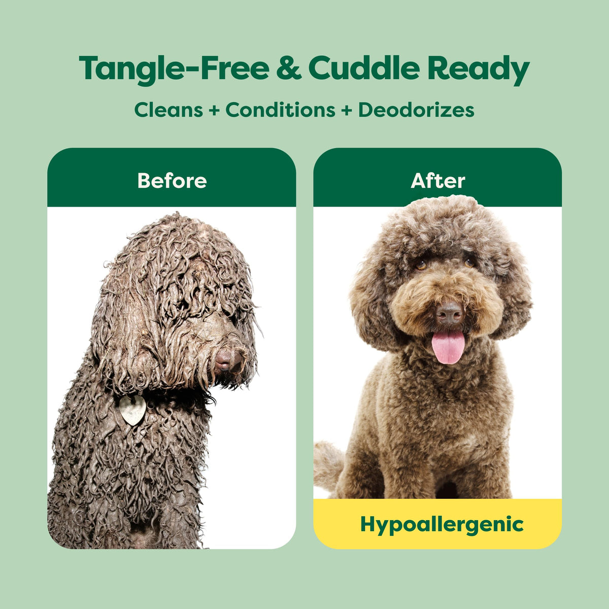 Earth Rated (A Canadian Company), 3-in-1 Detangling Dog Shampoo and Conditioner, Deodorizing Oatmeal Shampoos for Dogs and Puppies, Great for Smelly Pets, White Tea and Basil Scent, 473 ml š All In One Marketplace Canada