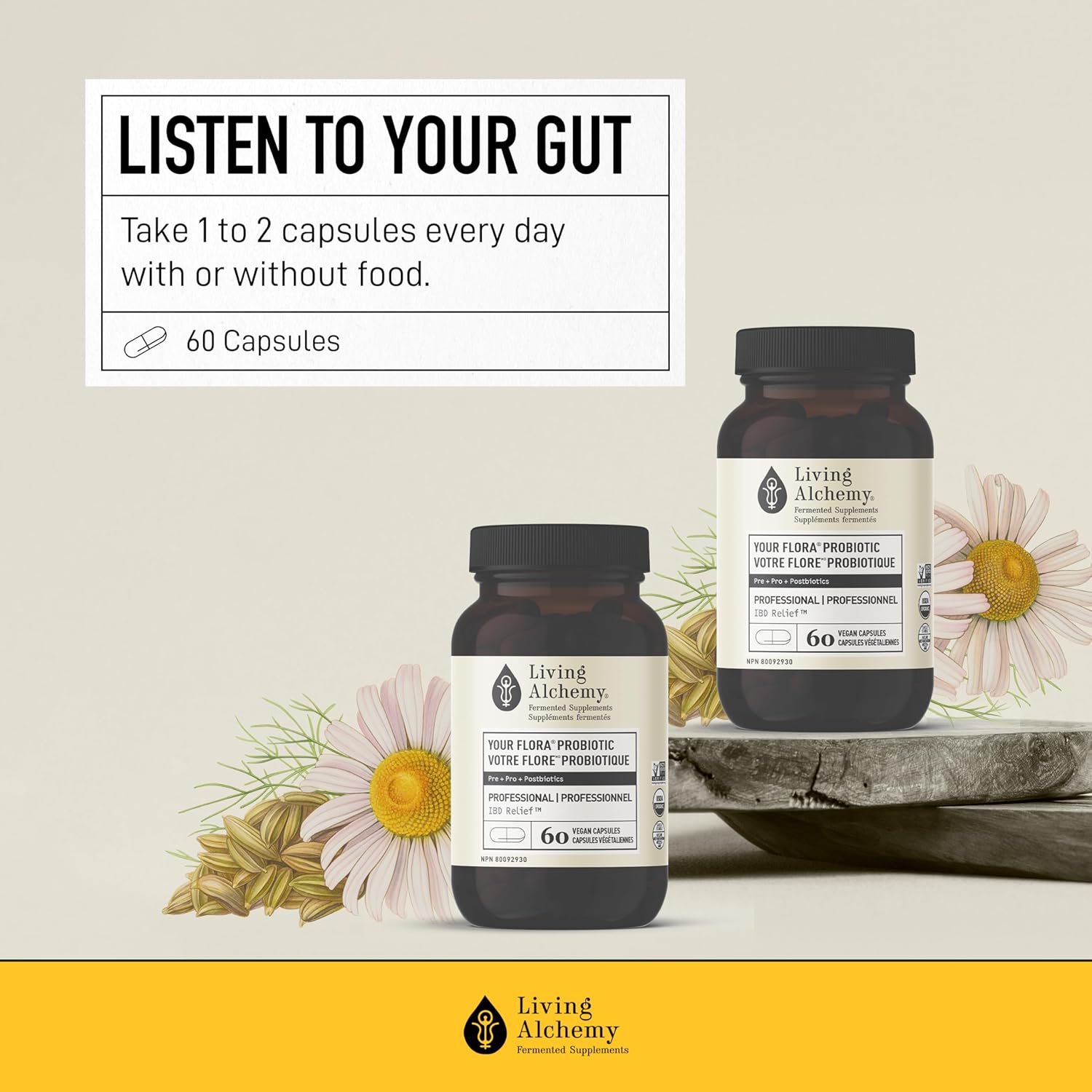 Your Flora Probiotics Man by Living Alchemy® – Gut, Prostate & Urinary Support | 60 Vegan Capsules