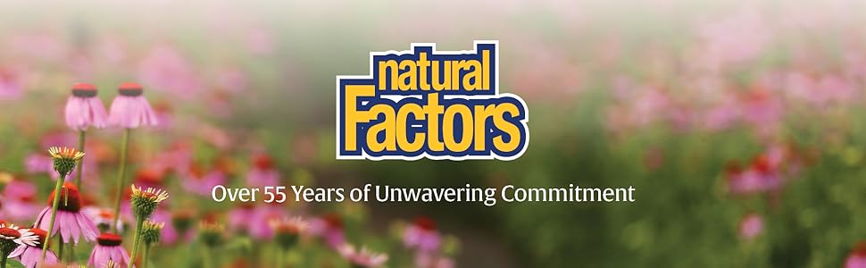Turmeric & Bromelain | Natural Factors® | 90 Capsules