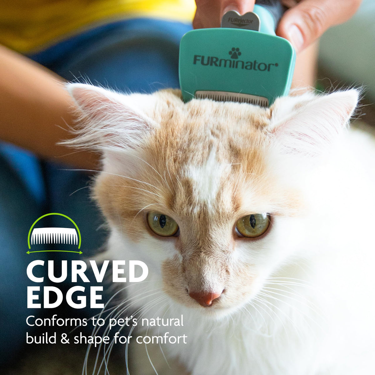 FURminator Short Hair deShedding Tool For Cats (Small) š All In One Marketplace Canada