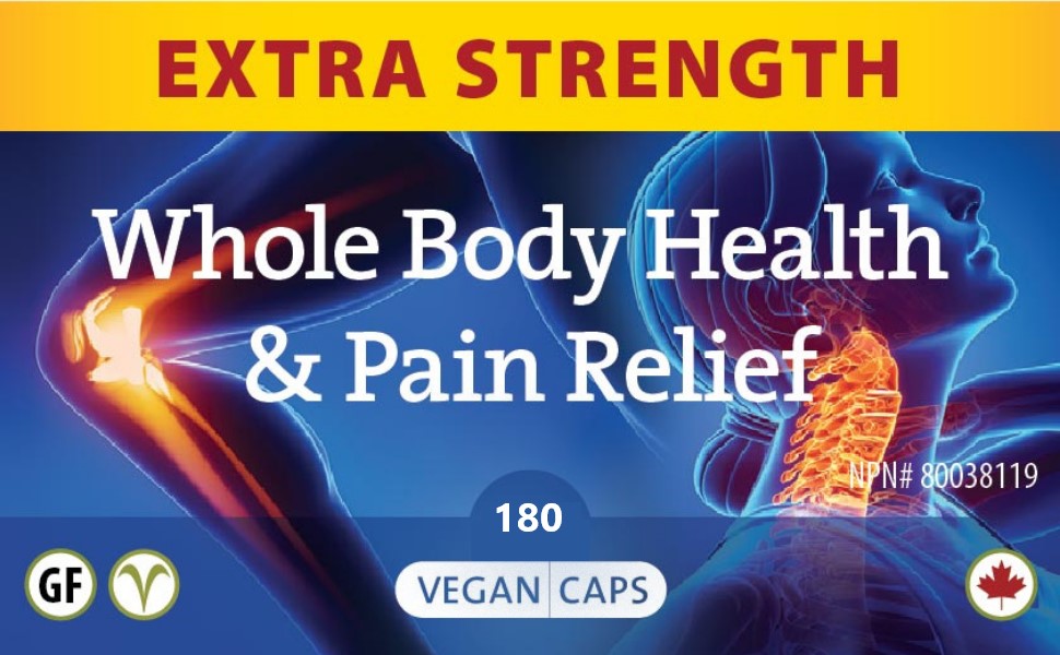 Recovery by Purica® – Joint, Pain & Inflammation Support | Capsules & Powder