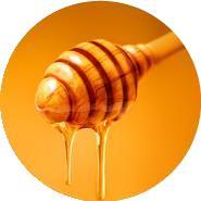 Stodal Adults Honey Cough Syrup | Boiron® | 200 mL