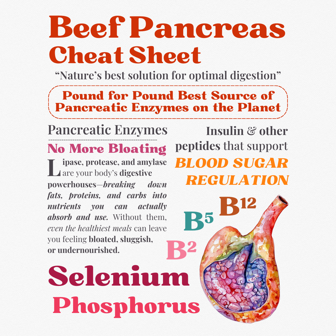 Organyze (Beef Organs) Bundle of 3
