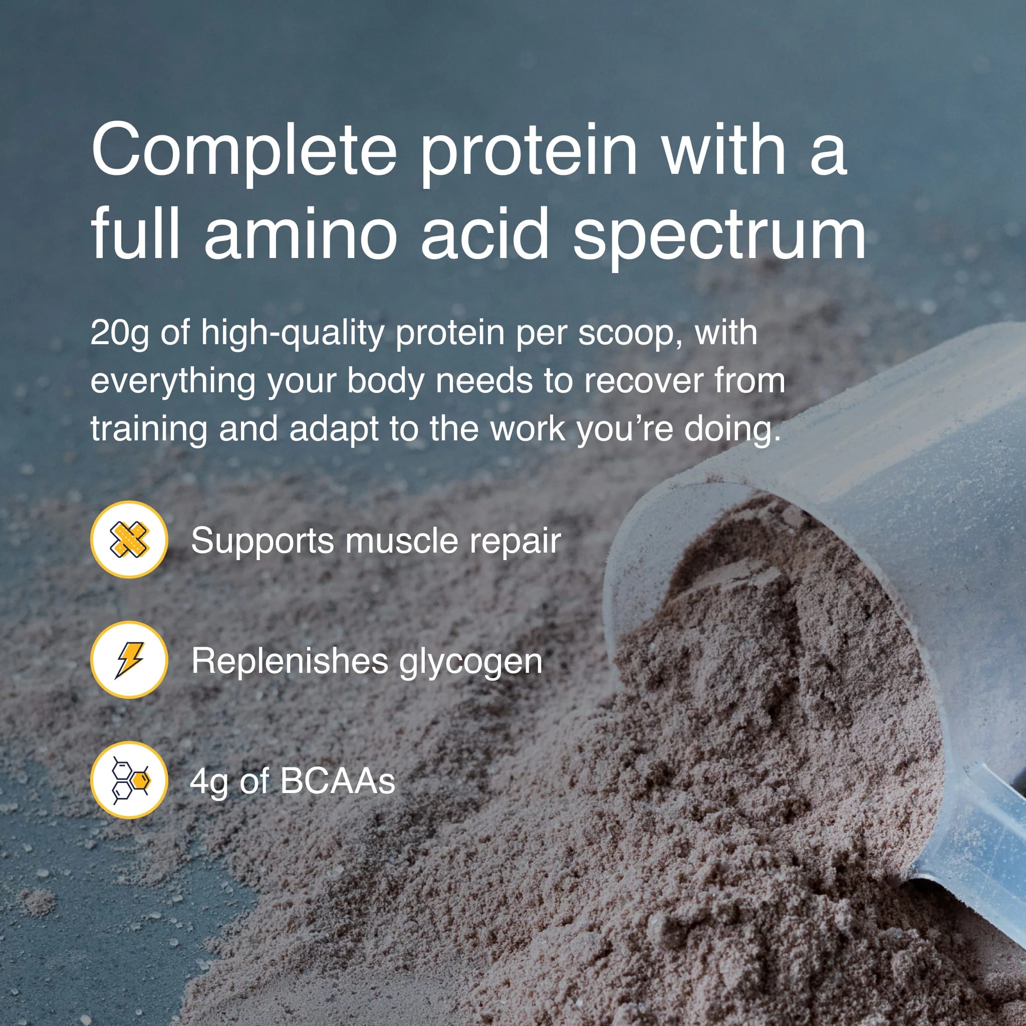 Egg White Protein Isolate | Blonyx Canada | 740 garm