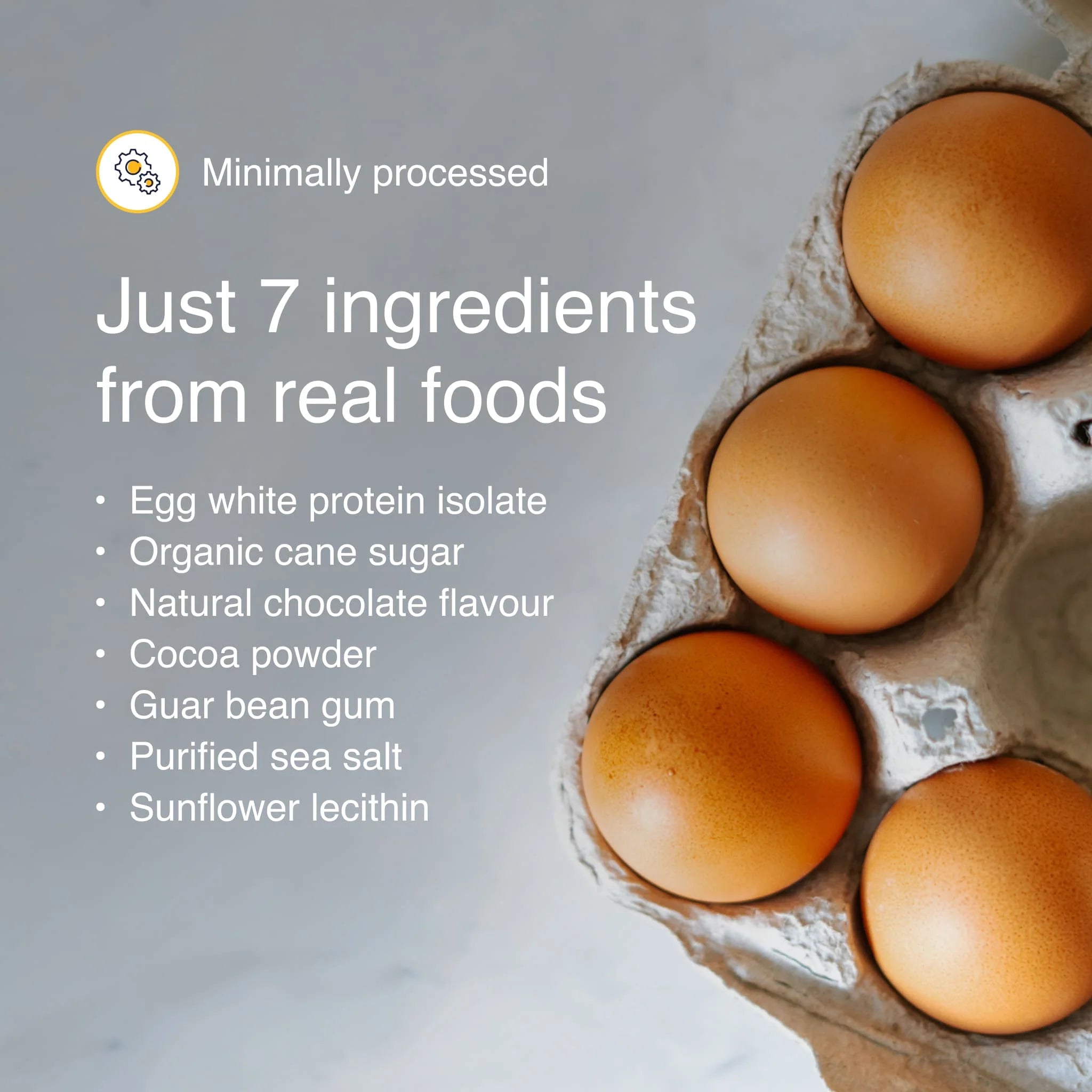 Egg White Protein Isolate | Blonyx Canada | 740 garm