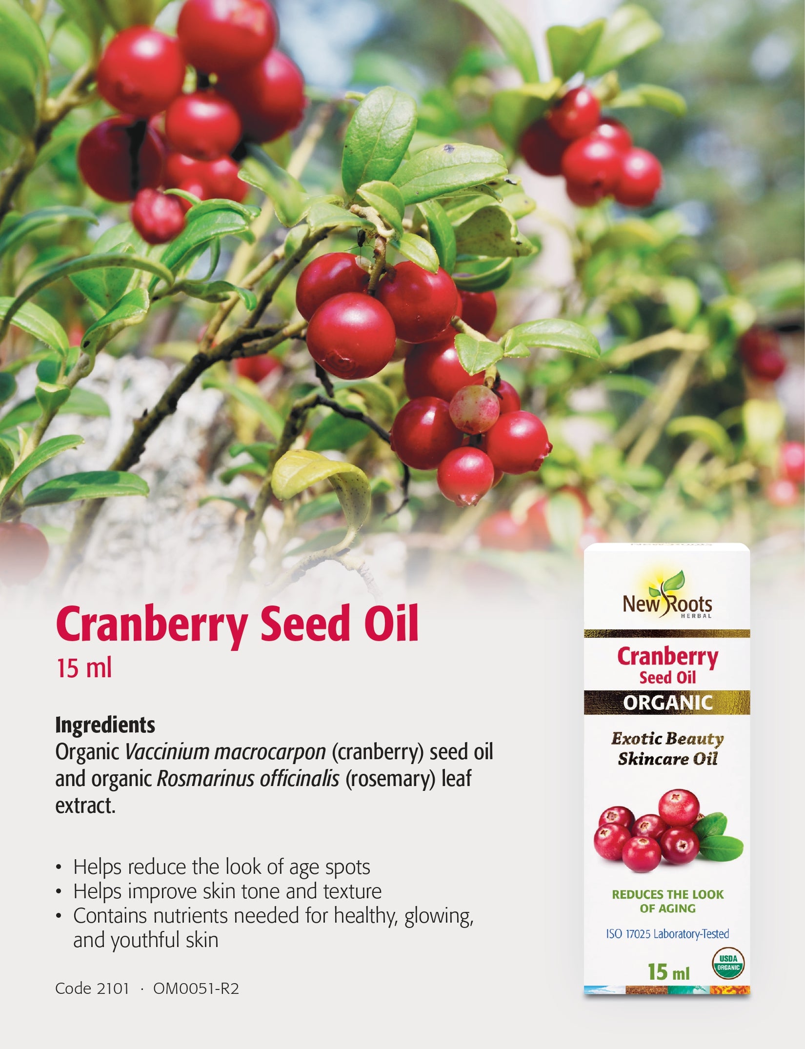 Sea Buckthorn Seed Oil | New Roots HERBAL® | 30 mL