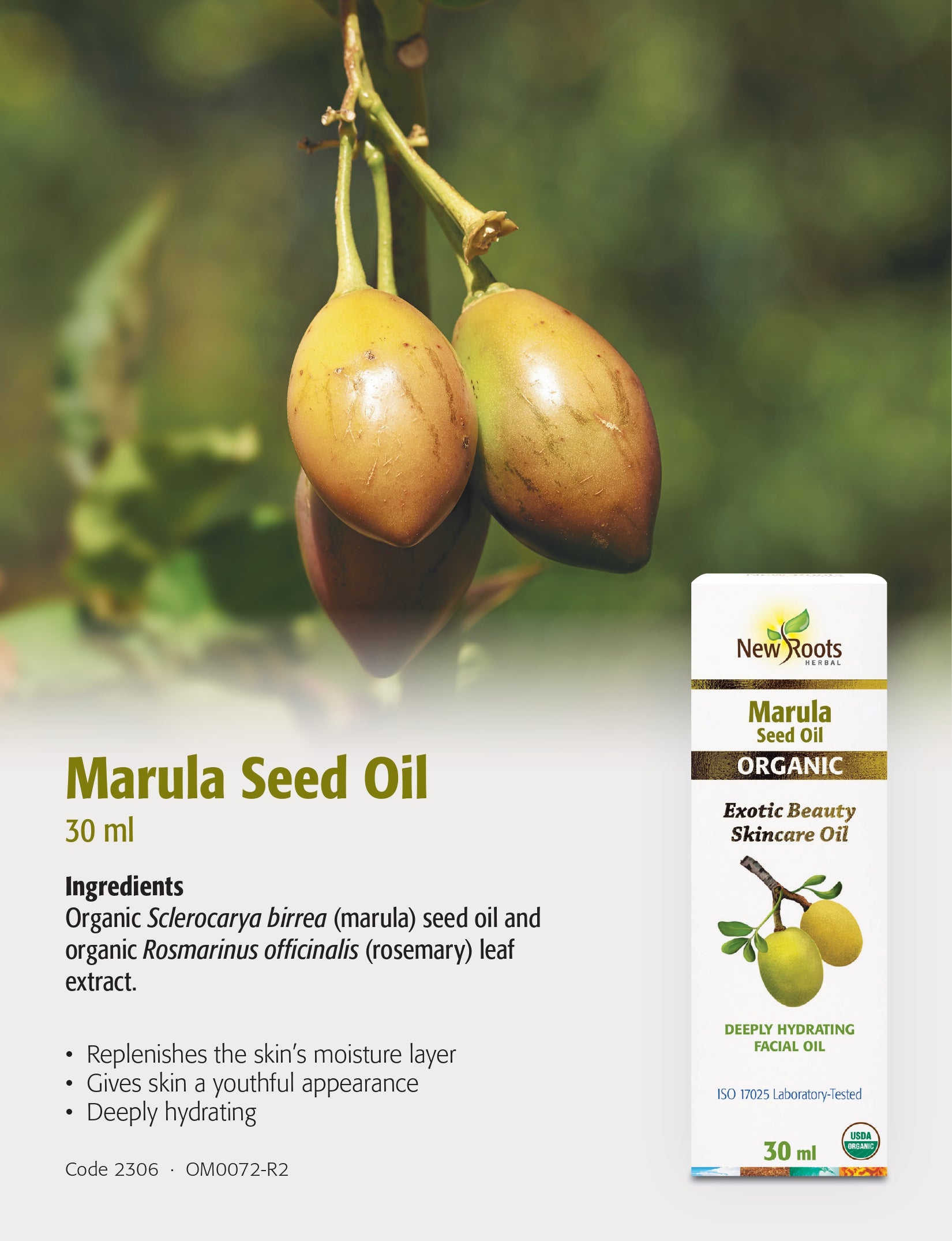 Sea Buckthorn Seed Oil | New Roots HERBAL® | 30 mL