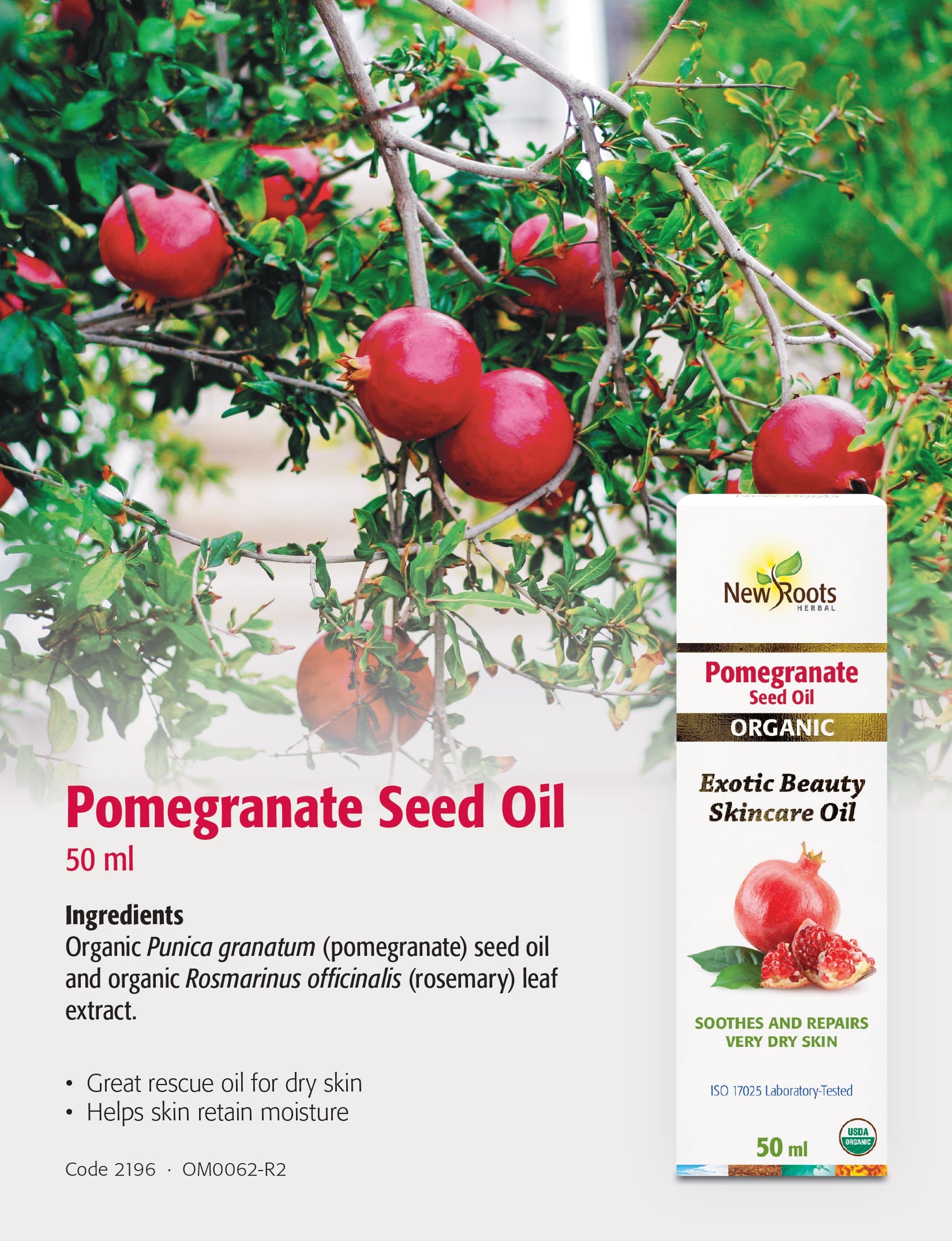 Sea Buckthorn Seed Oil | New Roots HERBAL® | 30 mL