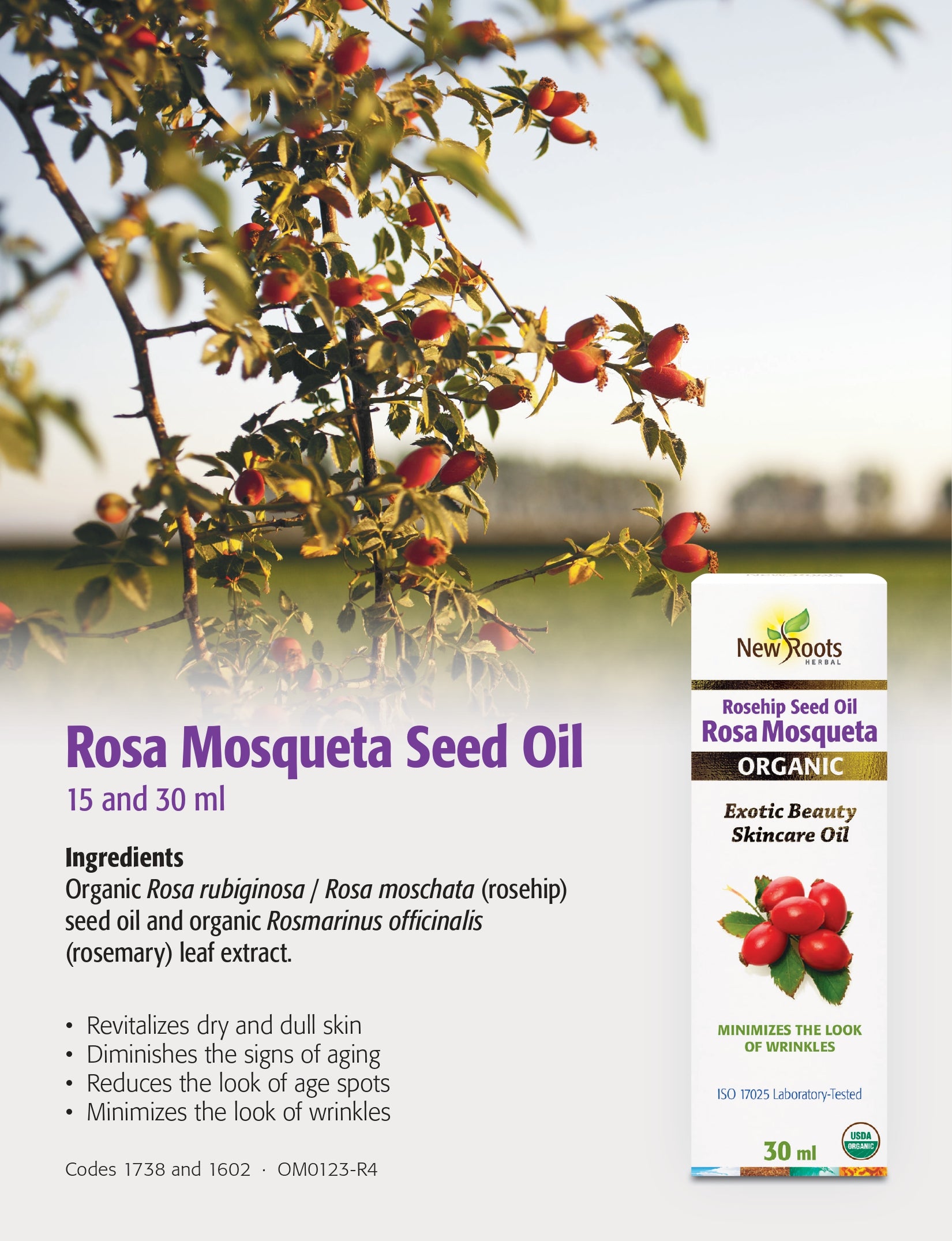Sea Buckthorn Seed Oil | New Roots HERBAL® | 30 mL