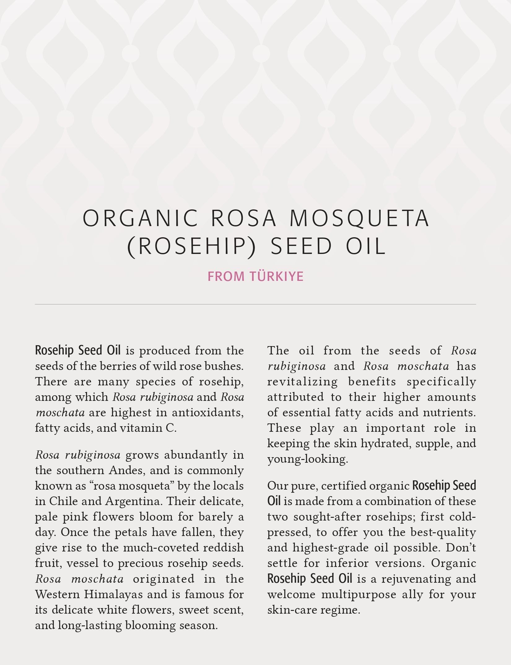 Sea Buckthorn Seed Oil | New Roots HERBAL® | 30 mL