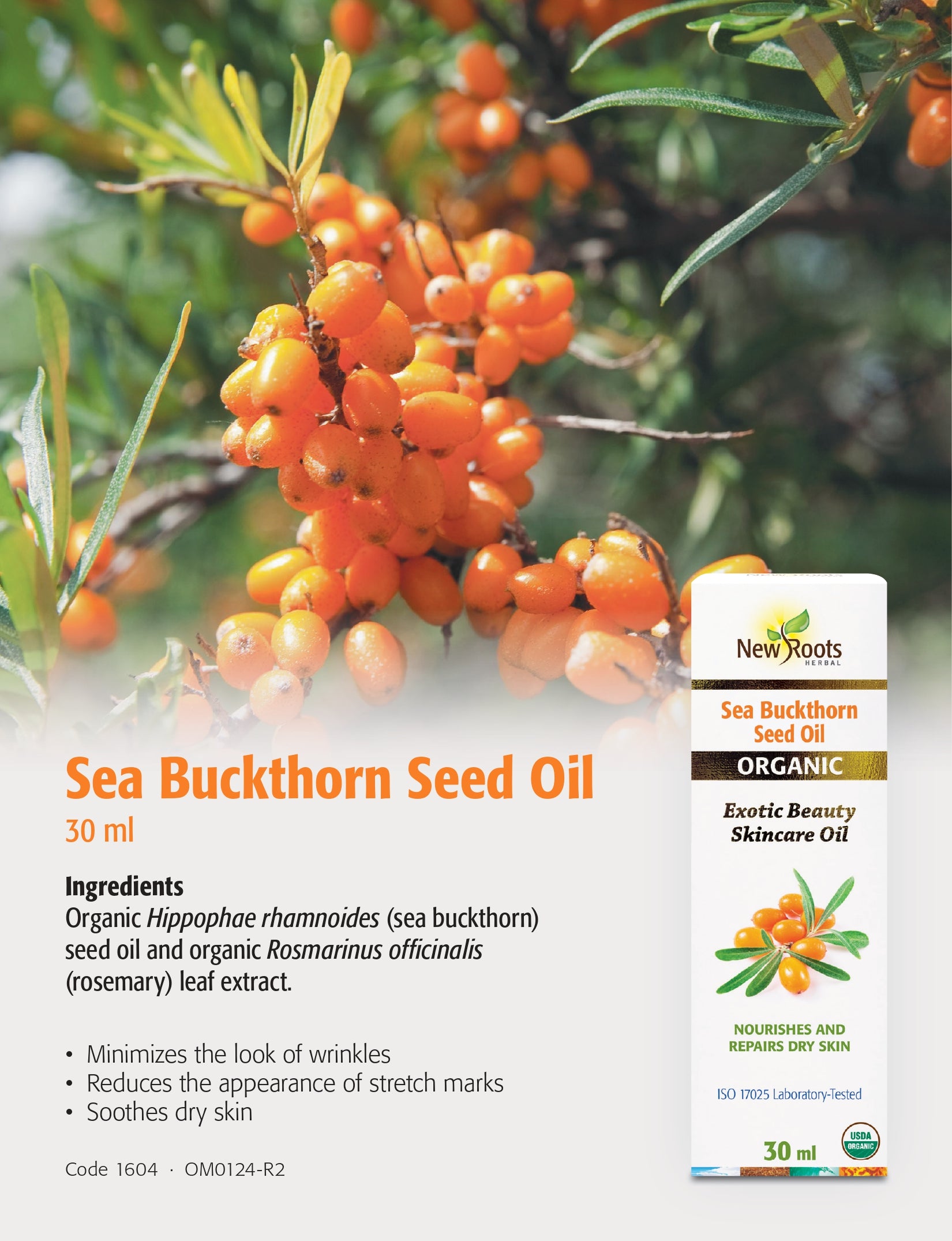 Sea Buckthorn Seed Oil | New Roots HERBAL® | 30 mL