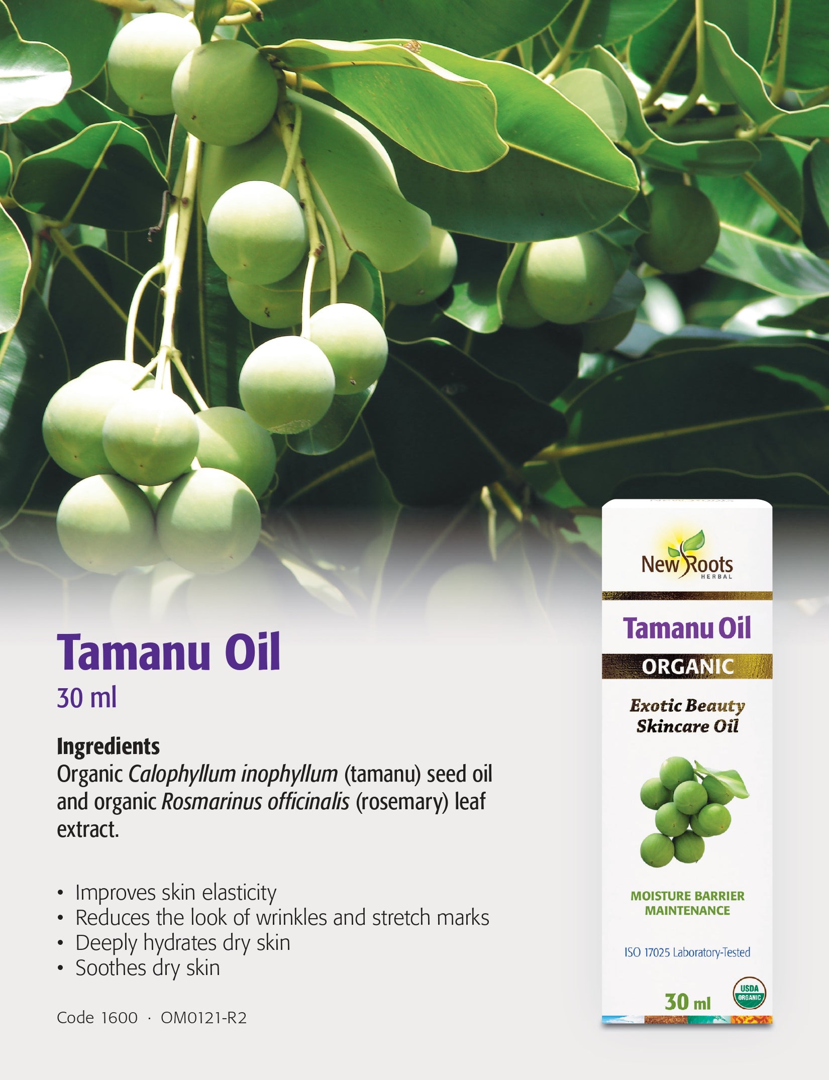 Sea Buckthorn Seed Oil | New Roots HERBAL® | 30 mL
