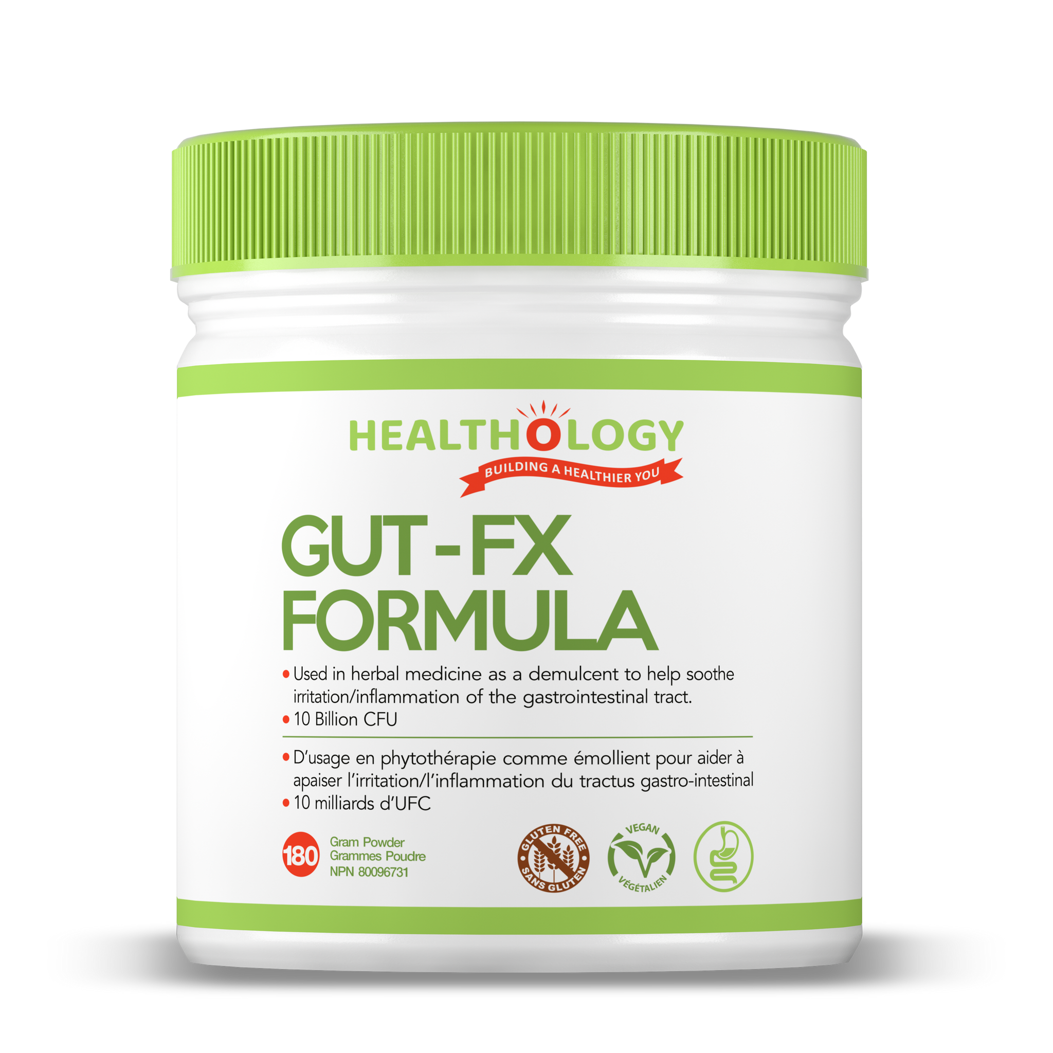 Chaga And Gut Inflammation: How Antioxidants Repair the Intestinal Lining