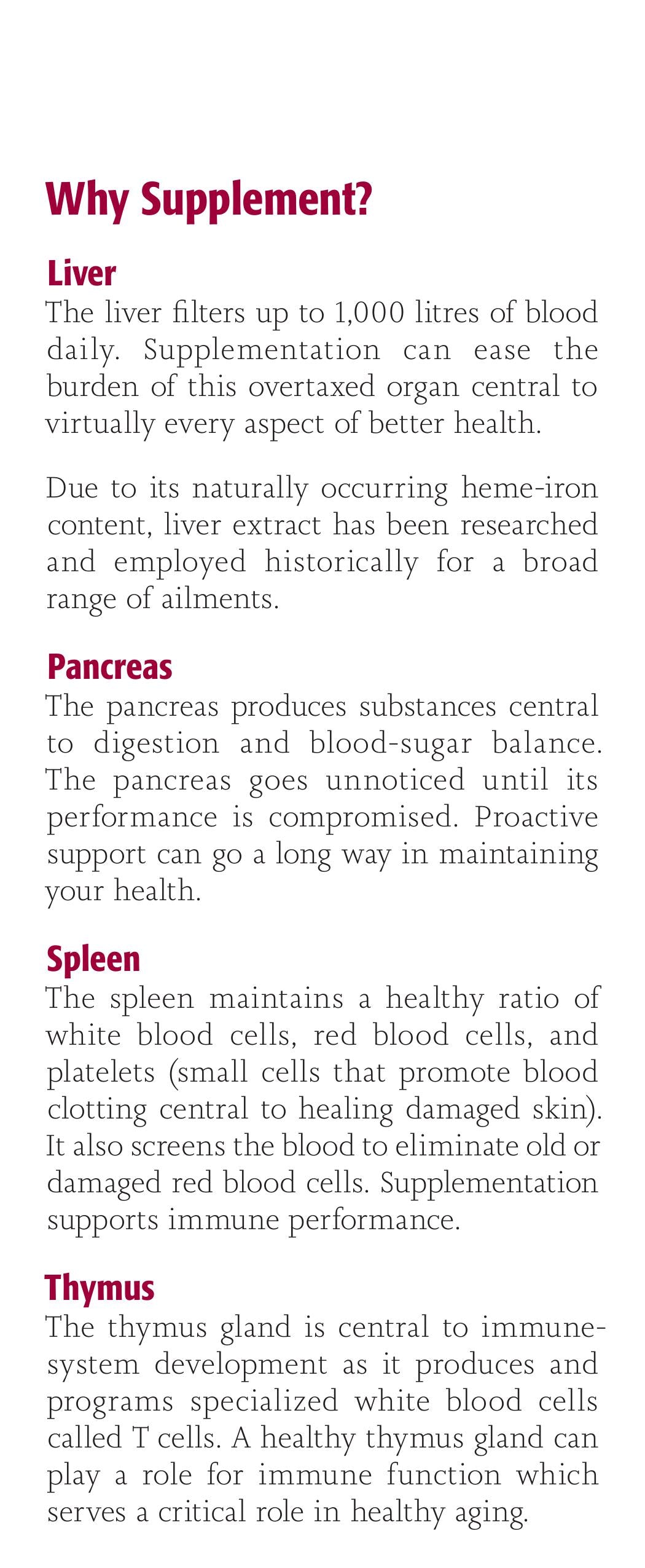 Grass-Fed Lamb Pancreas | New Roots HERBAL® | 30 or 90 Capsules