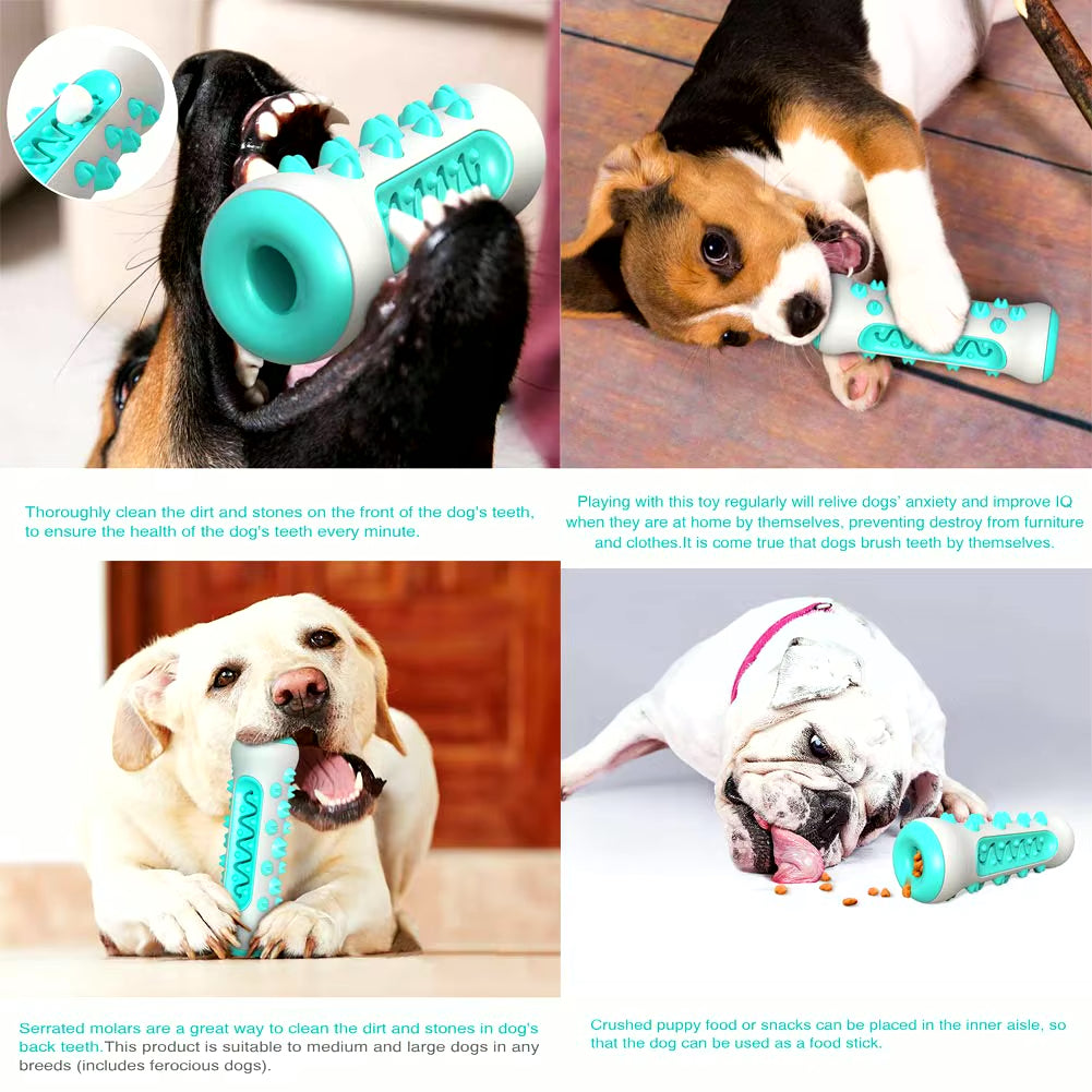 Chew Toys for Dogs – Unbreakable Molar Treat Dispenser