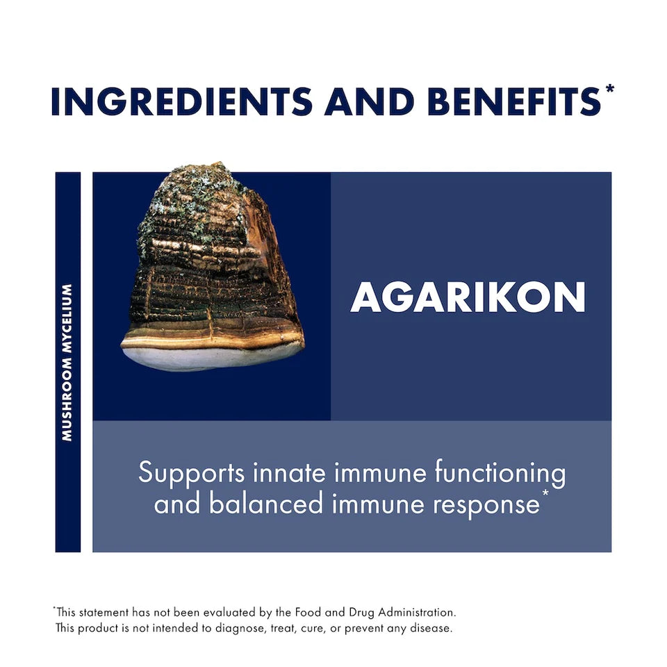 Agarikon by Host Defense® Mushrooms™ – Organic Fomitopsis officinalis Immune Support | 60 Capsules
