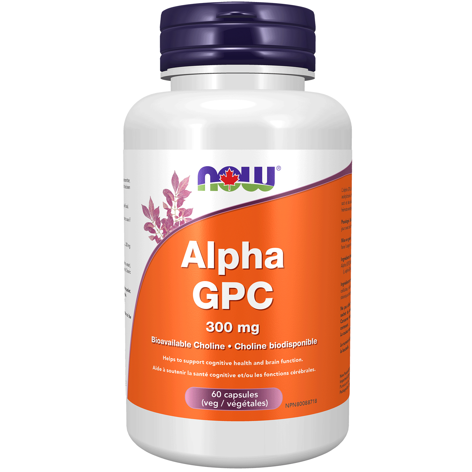 Alpha GPC 300mg | NOW® | 60 Vegetarian Capsules