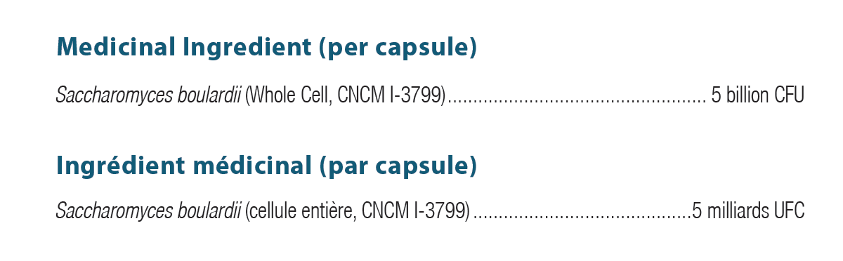 Saccharomyces boulardii | Ortho Molecular | 60 Capsules