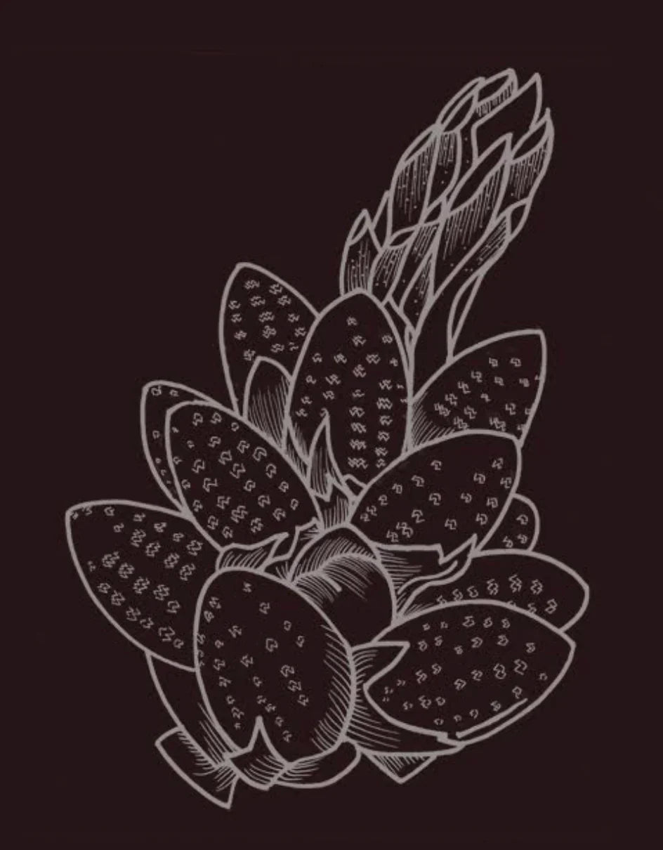 Wild Lodgepole Pine Pollen Tincture by Canadian Pine Pollen® – Traditional Vitality Support | 100 mL