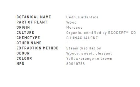 Cedarwood-Atlas Essential | Divine Essence® | 100 mL