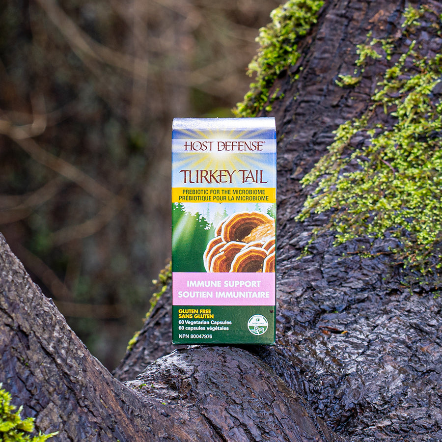 Turkey Tail Capsules | Host Defense® Mushrooms™ | 60 or 120 Capsules