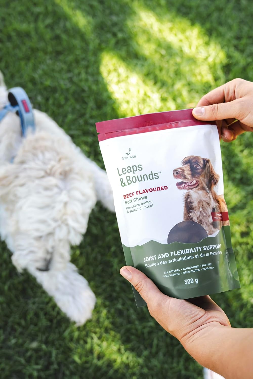 Soft Chews | SierraSil® LEAPS & BOUNDS | 300g