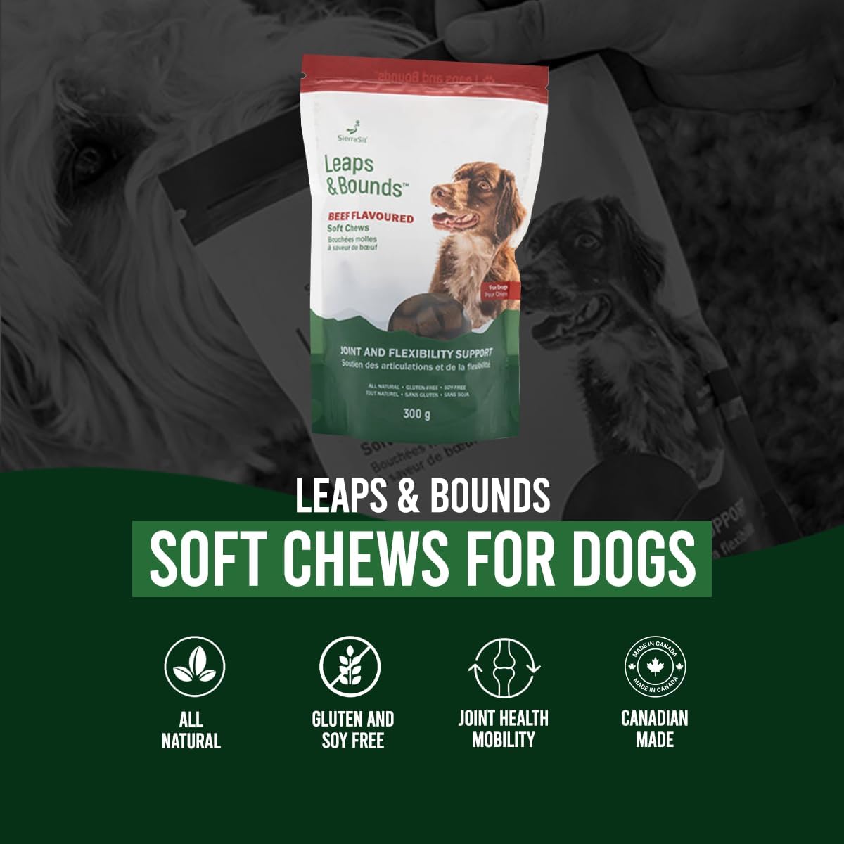 Soft Chews | SierraSil® LEAPS & BOUNDS | 300g