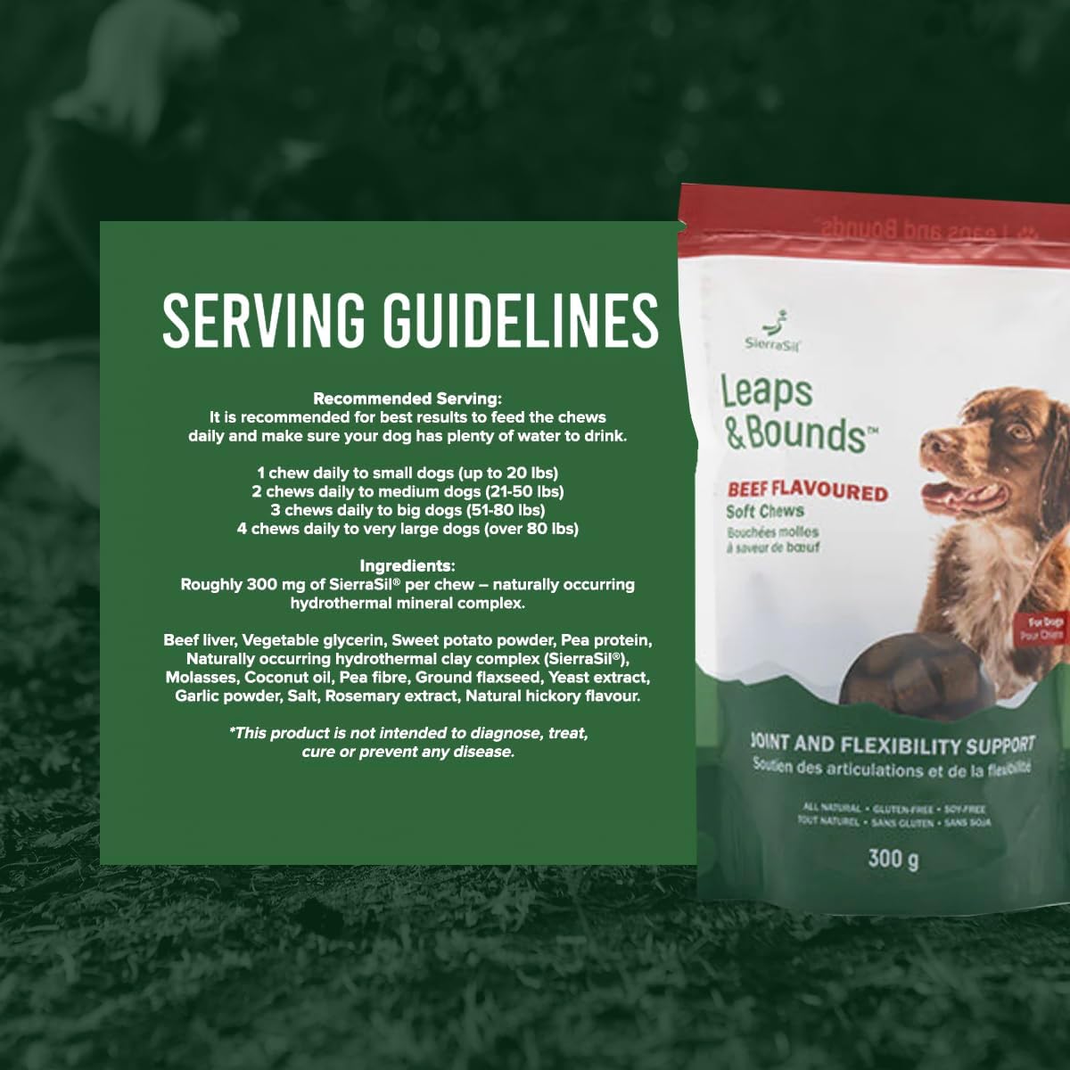 Soft Chews | SierraSil® LEAPS & BOUNDS | 300g