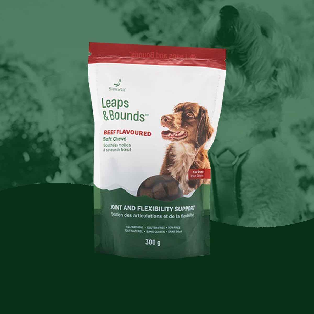 Soft Chews | SierraSil® LEAPS & BOUNDS | 300g