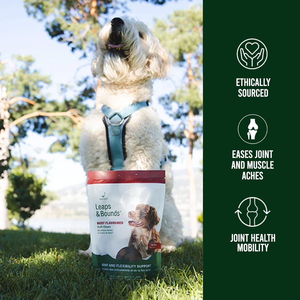 Soft Chews | SierraSil® LEAPS & BOUNDS | 300g