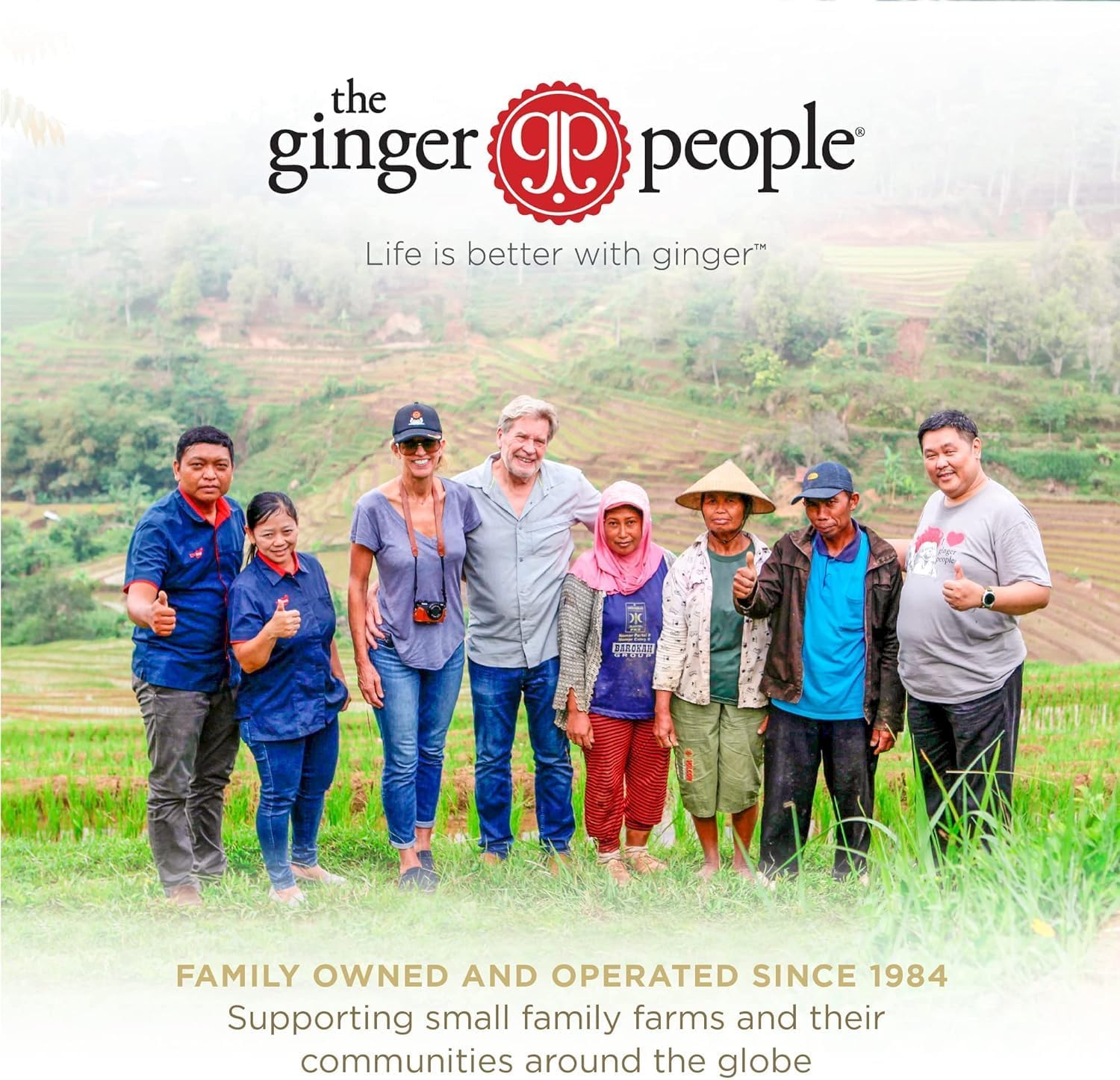 Gin Gins® Chewy Ginger Candy - Original | The Ginger People | Different sizes